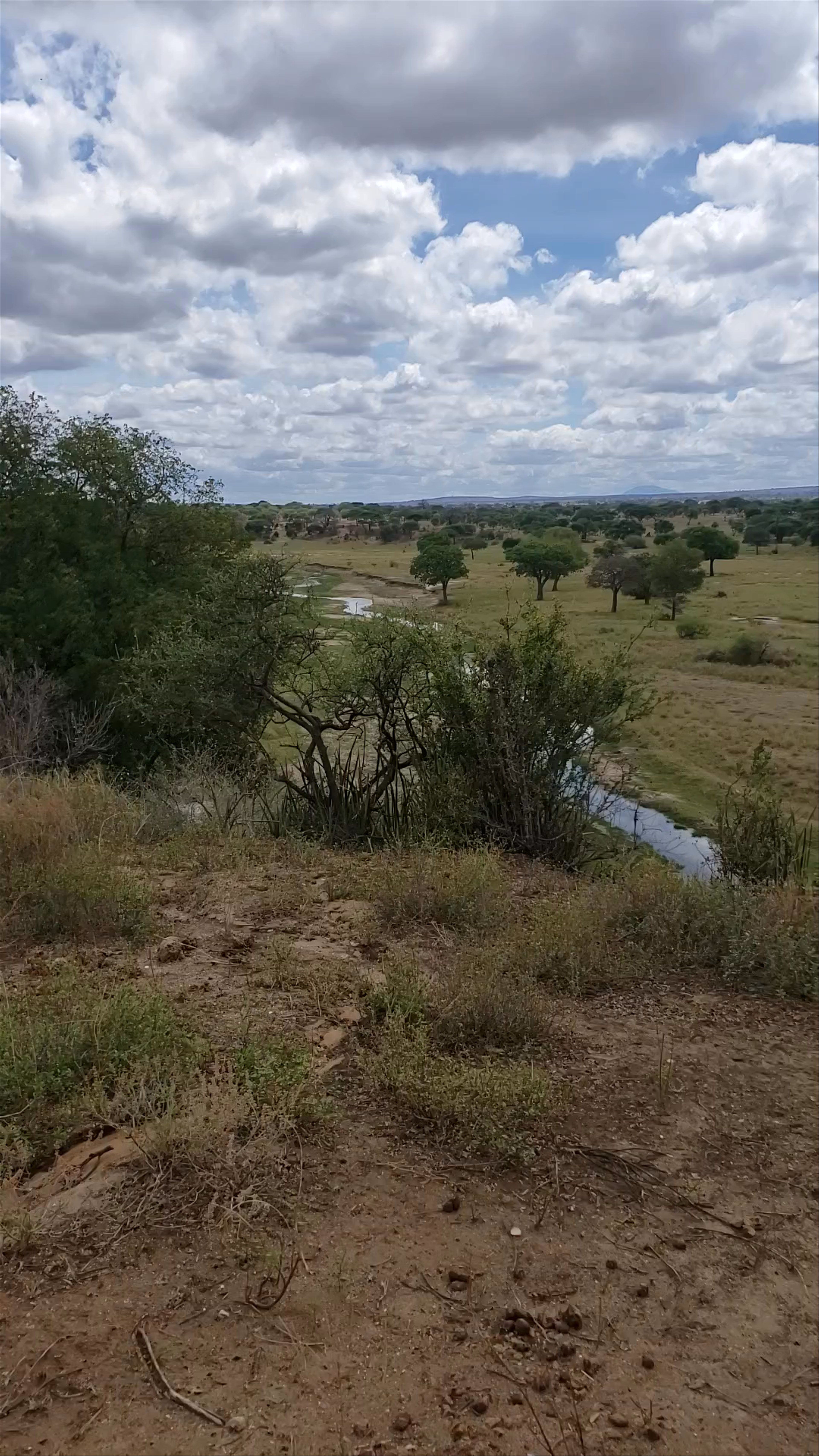 Tarangire National Park
