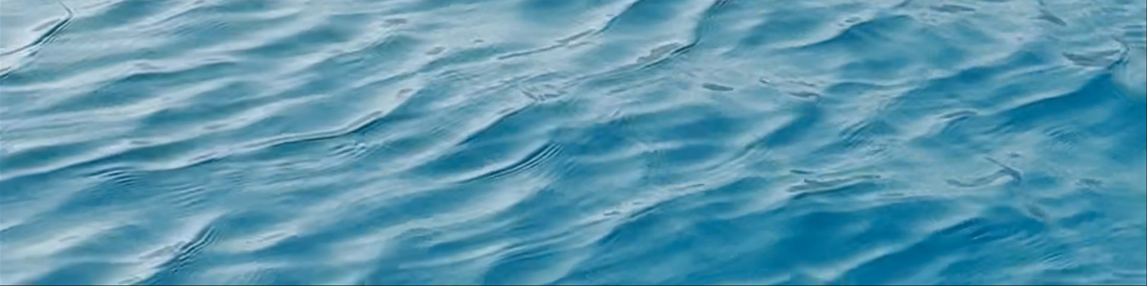 Dolphins Gulf، Qalansiyah