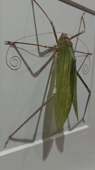 Beaty Biodiversity Museum - Museums Near Me - Vancouver, British Columbia