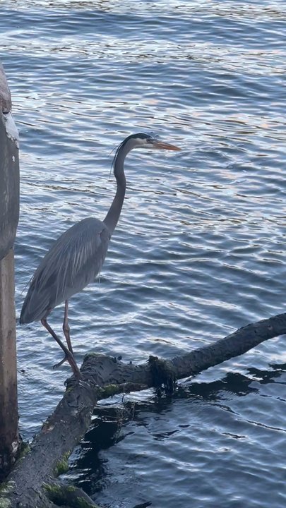 Promenade Park - Parks Near Me - Boynton Beach, Florida