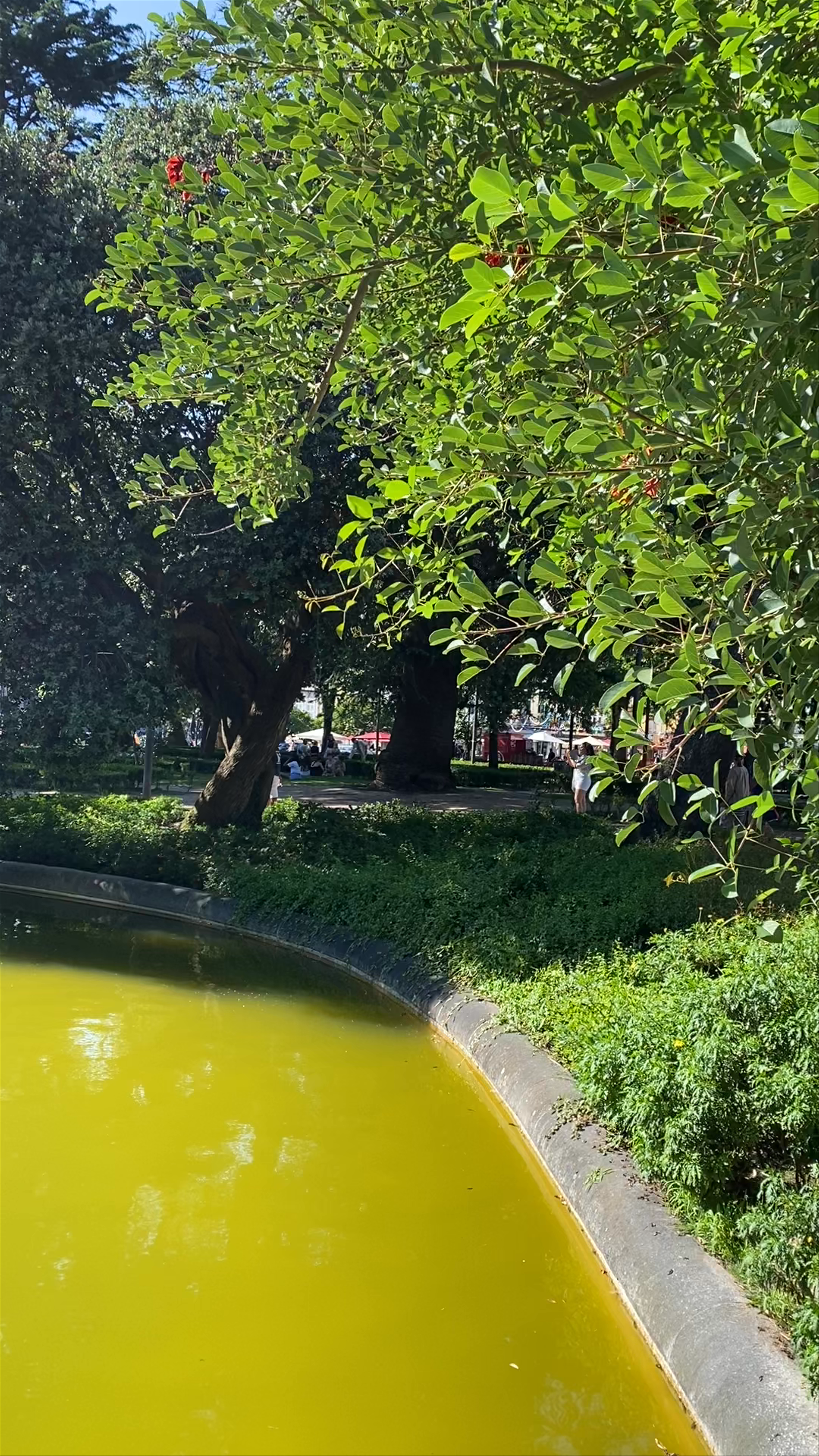 Tranquil Green Oasis at Praça de Lisboa, Porto