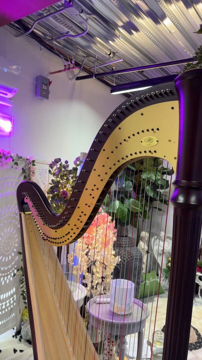 Intuitive Harp Healing - Harp! - Meditation Centers Near Me - Oro Valley, Arizona