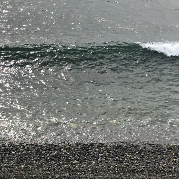 Bird Rock - Local Flavor Near Me - La Jolla, California