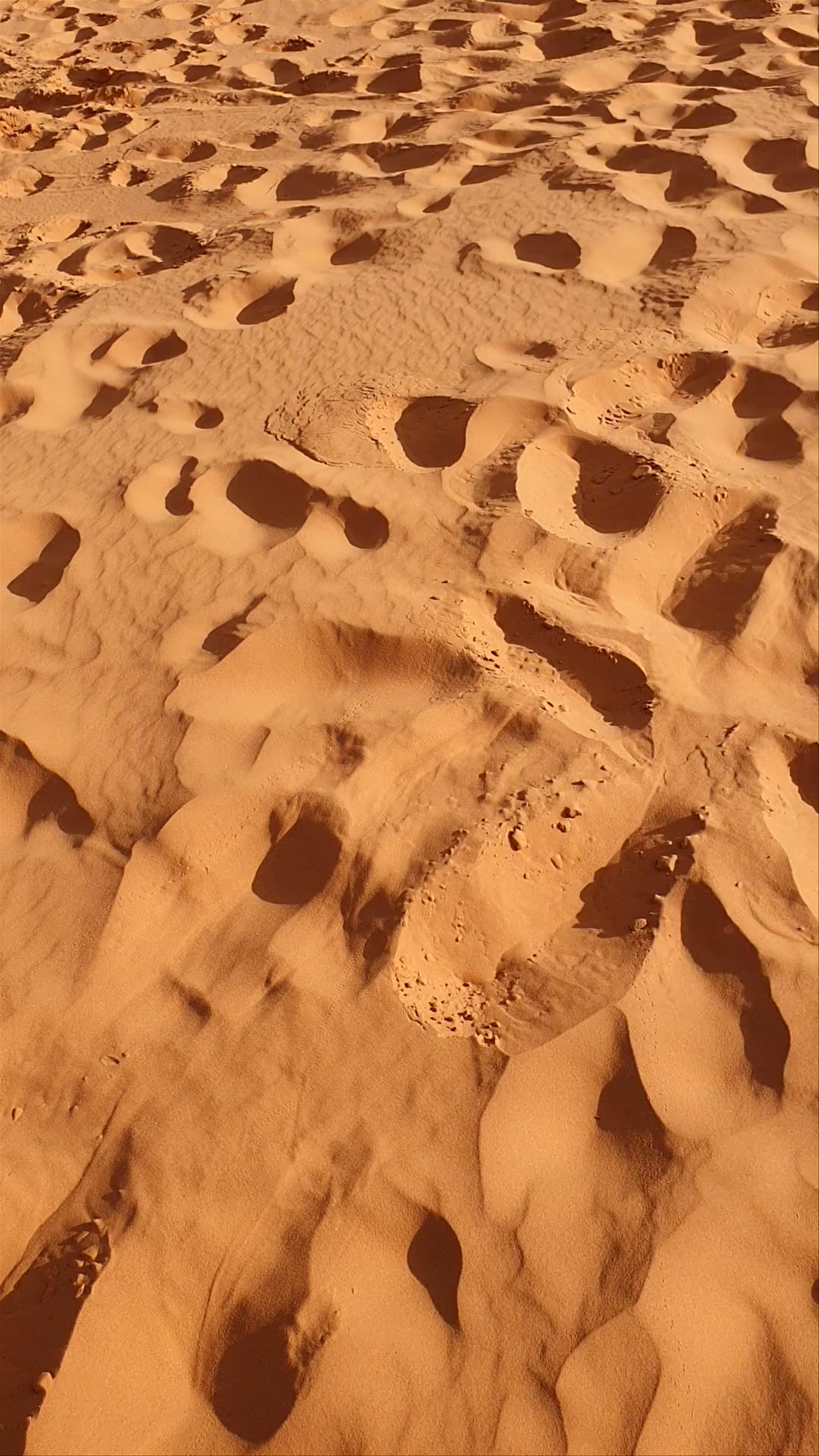 Snow Canyon State Park
