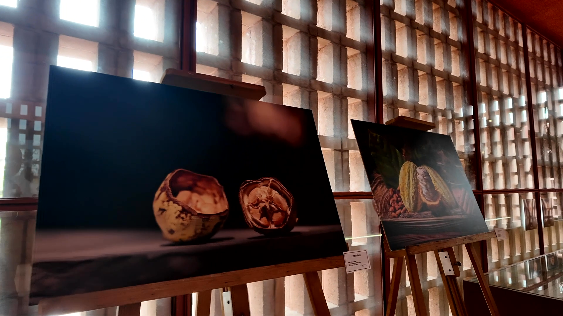MUSEO REGIONAL CACAOTERA