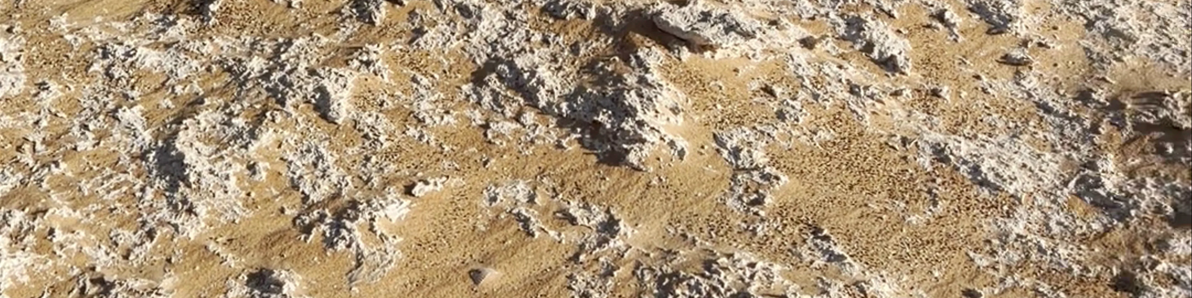 Siwa Oasis