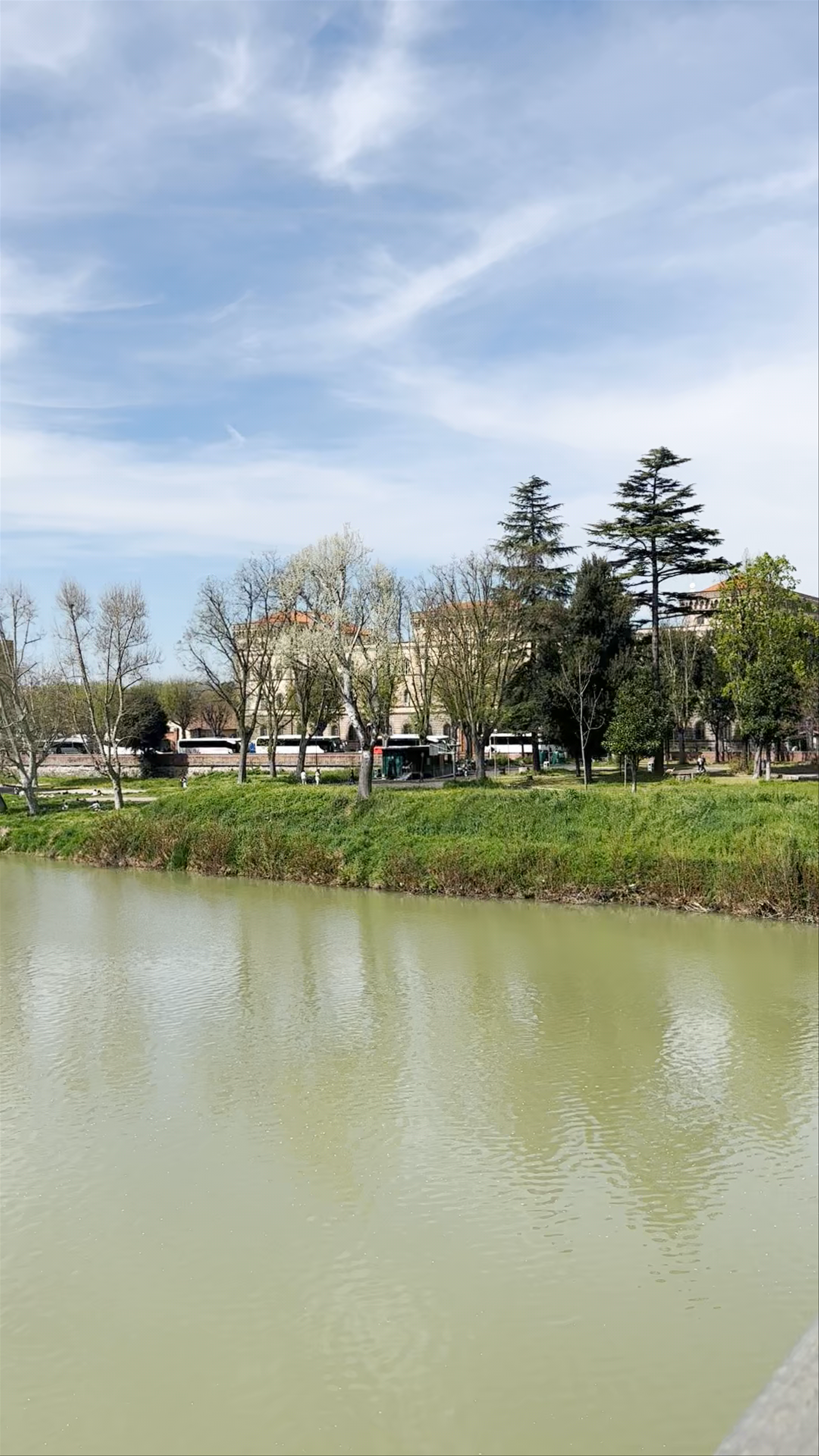 Fiorino sull'arno