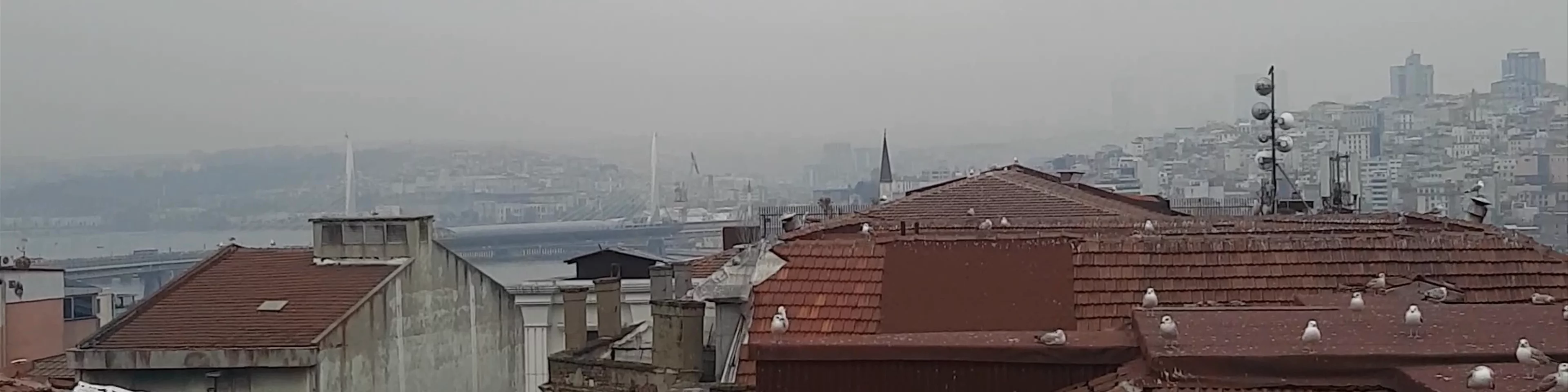 Kubbe-i Aşk