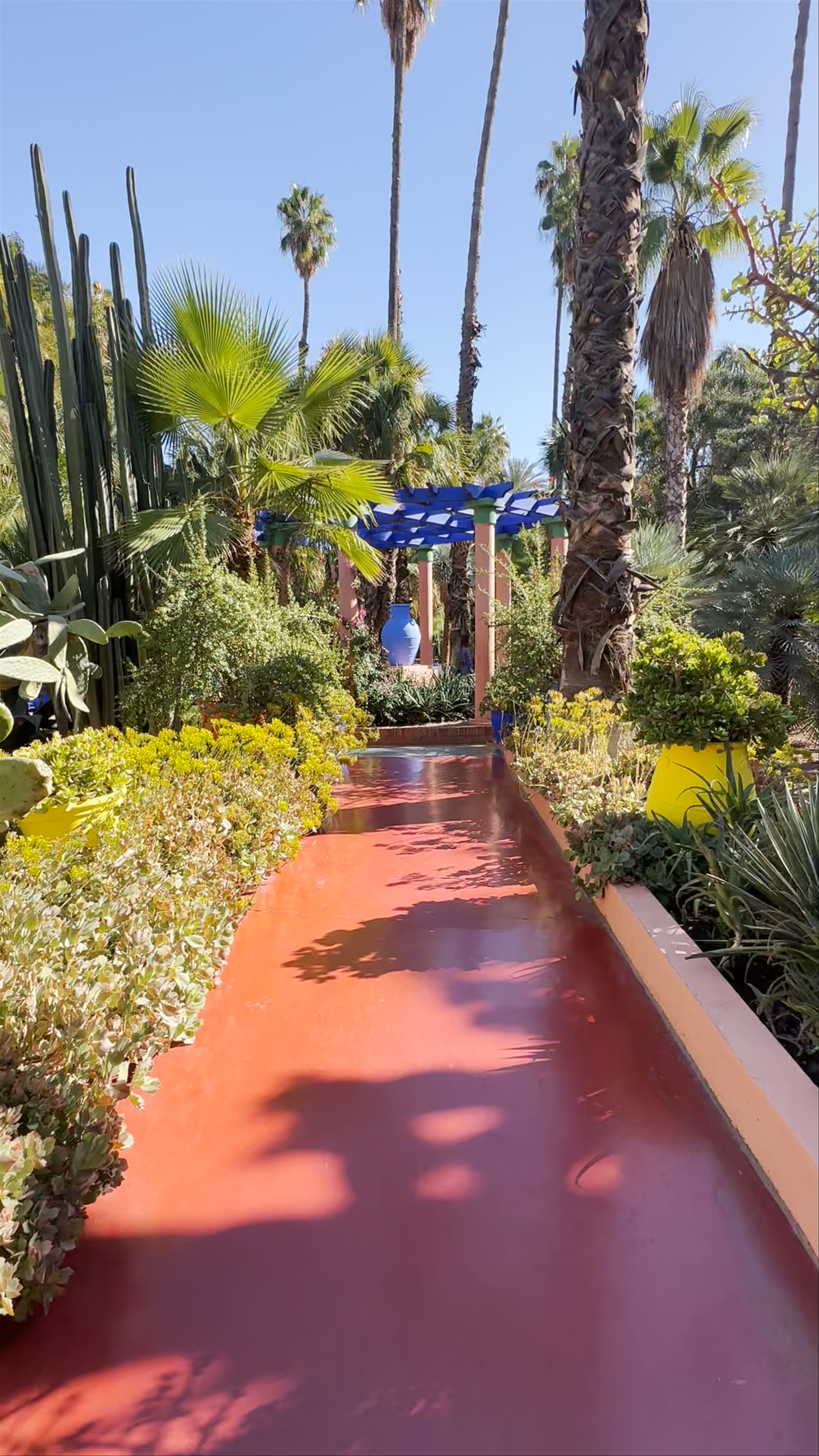 Jardin Majorelle