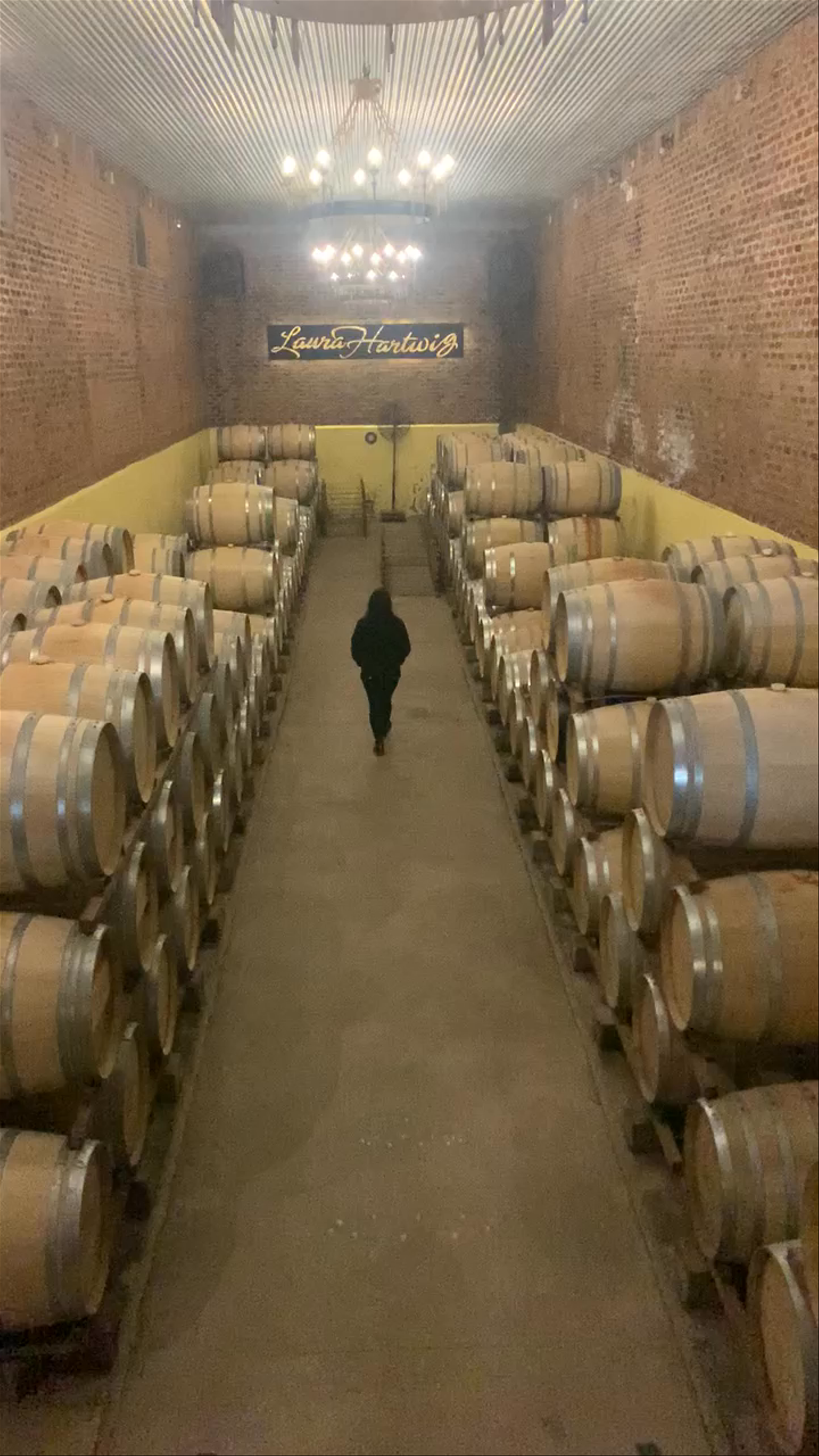 Viña Laura Hartwig