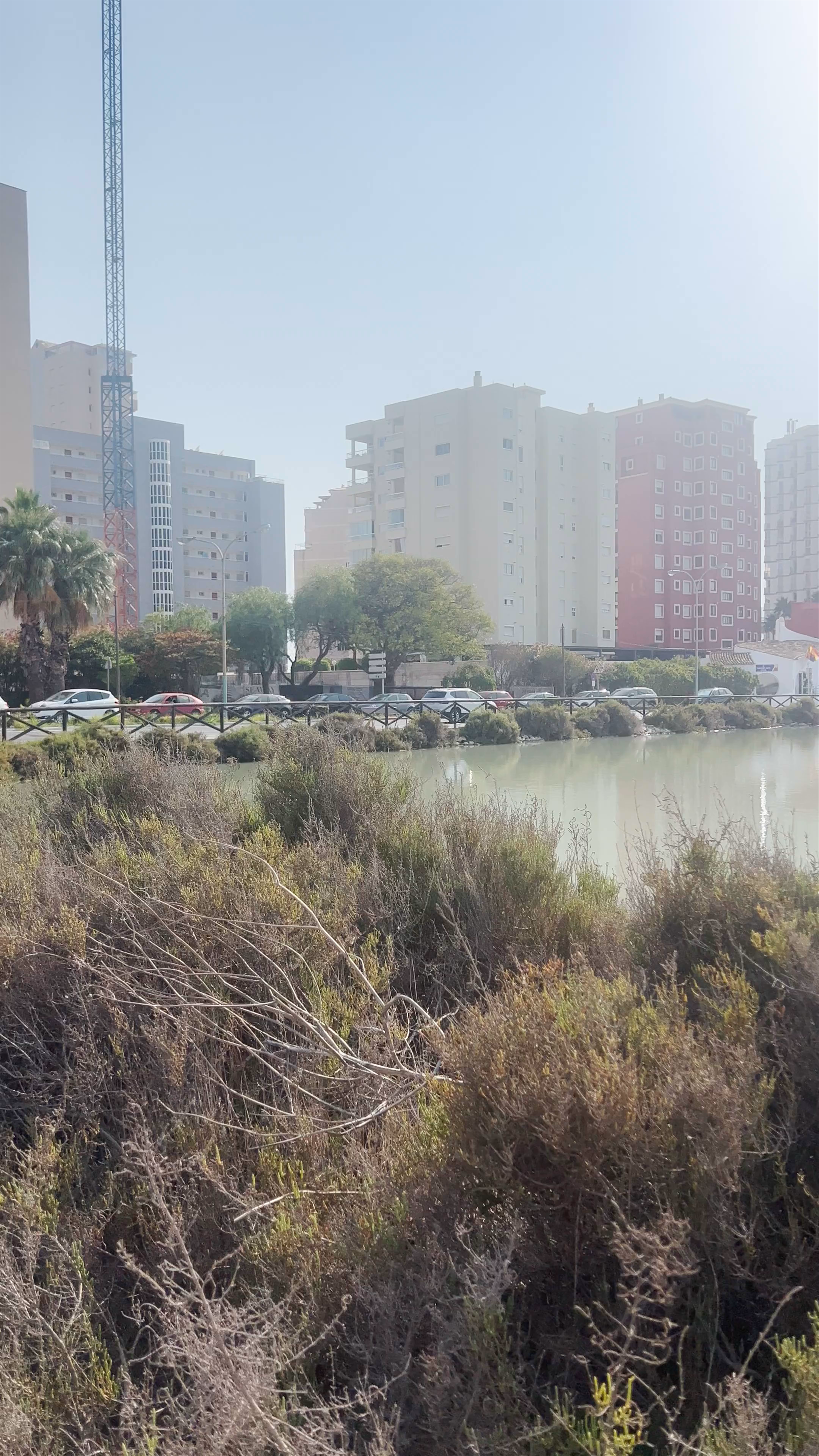 Salinas de Calp: Serene Urban Wetlands in Calpe, Spain