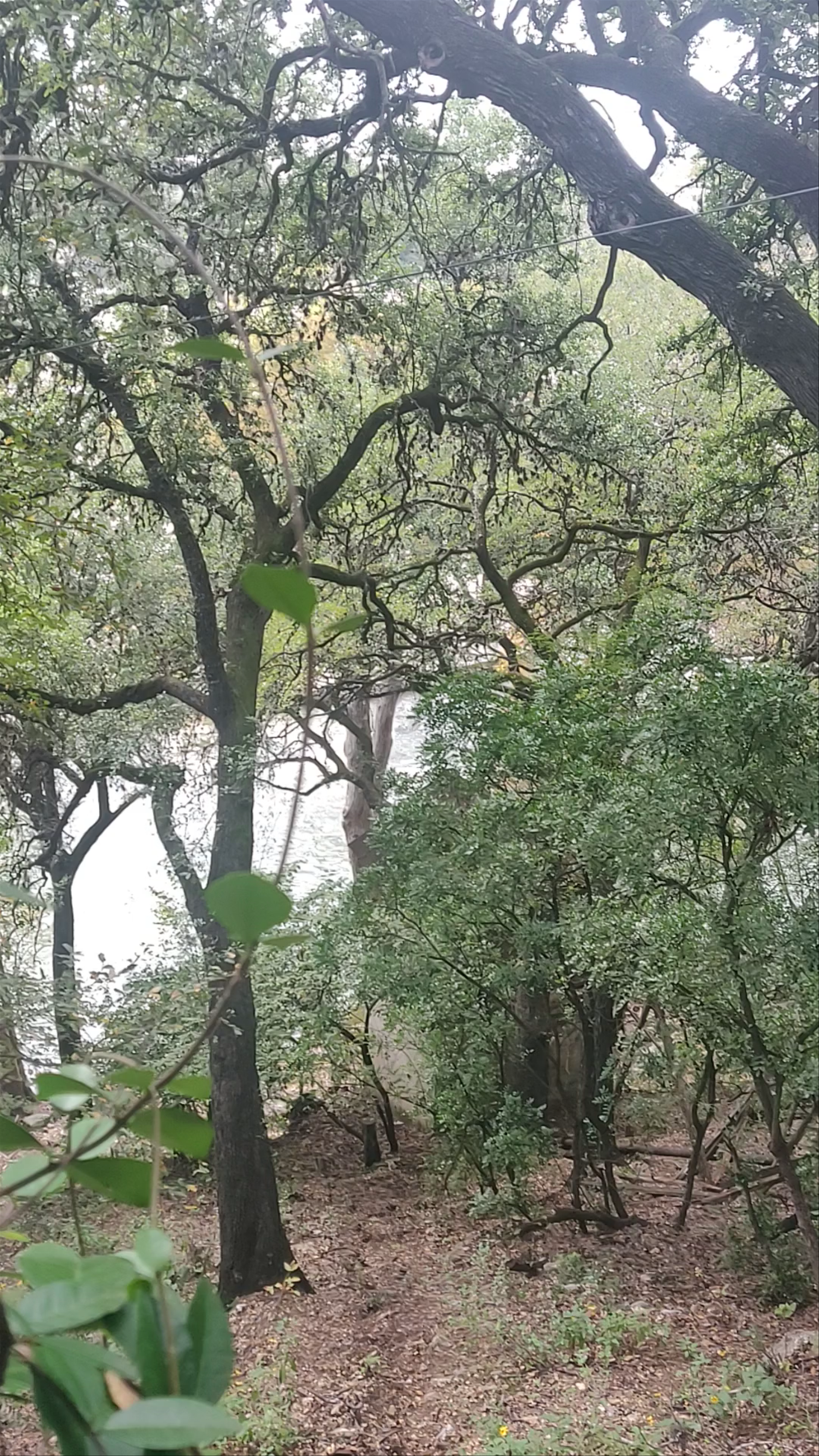 Gristmill River Restaurant & Bar