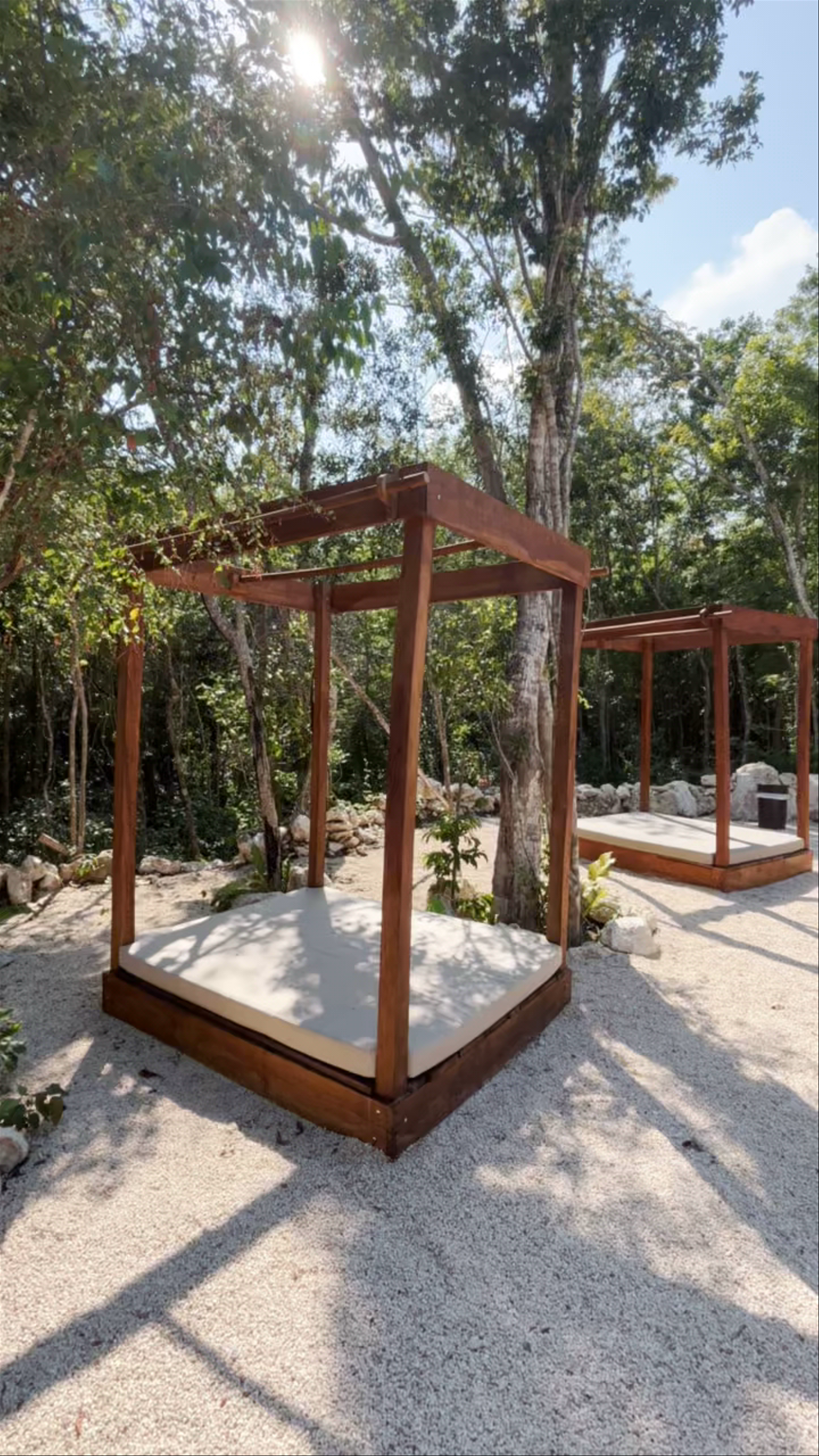Cenotes Casa Tortuga Tulum