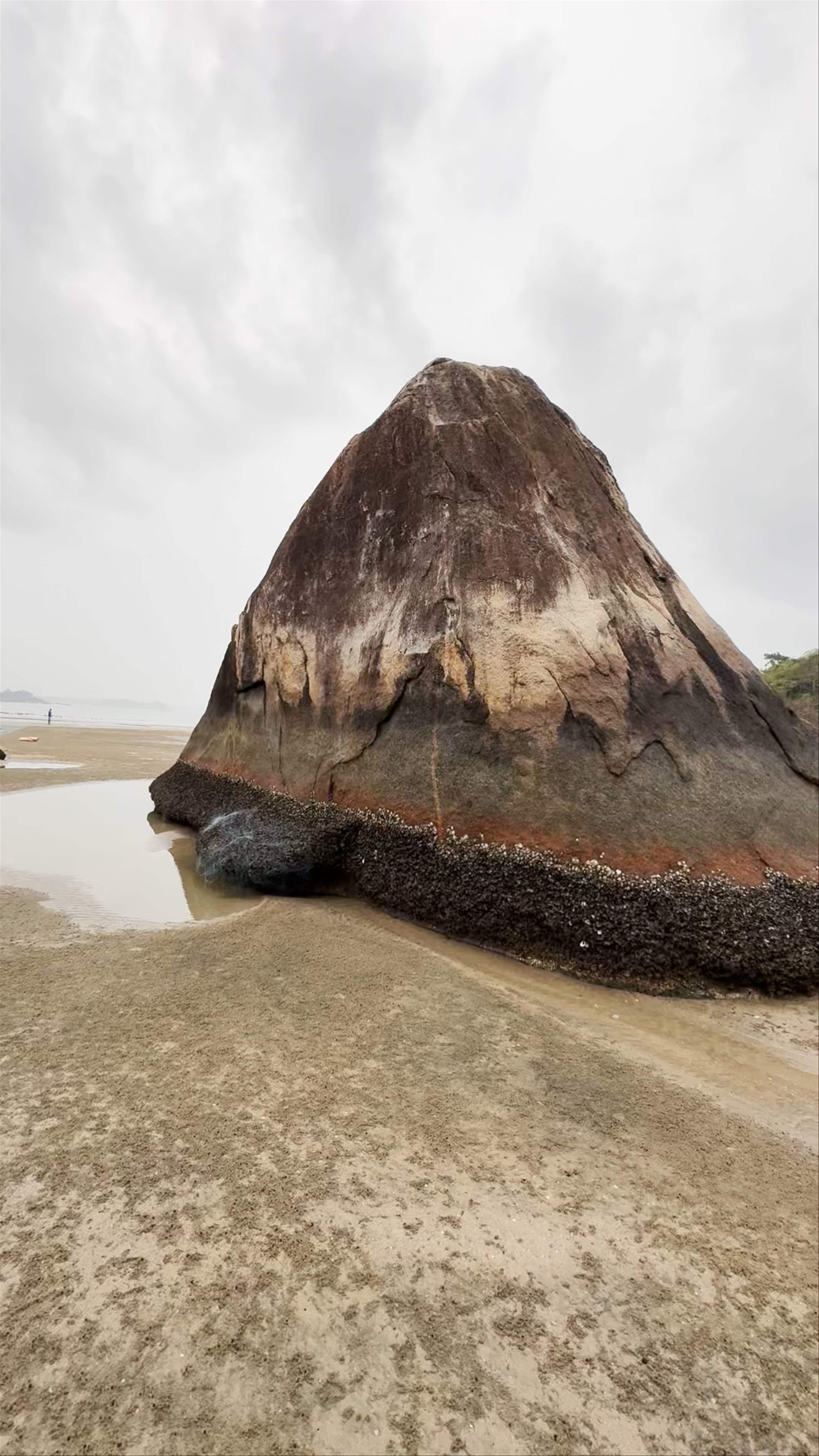Shark Rock Point