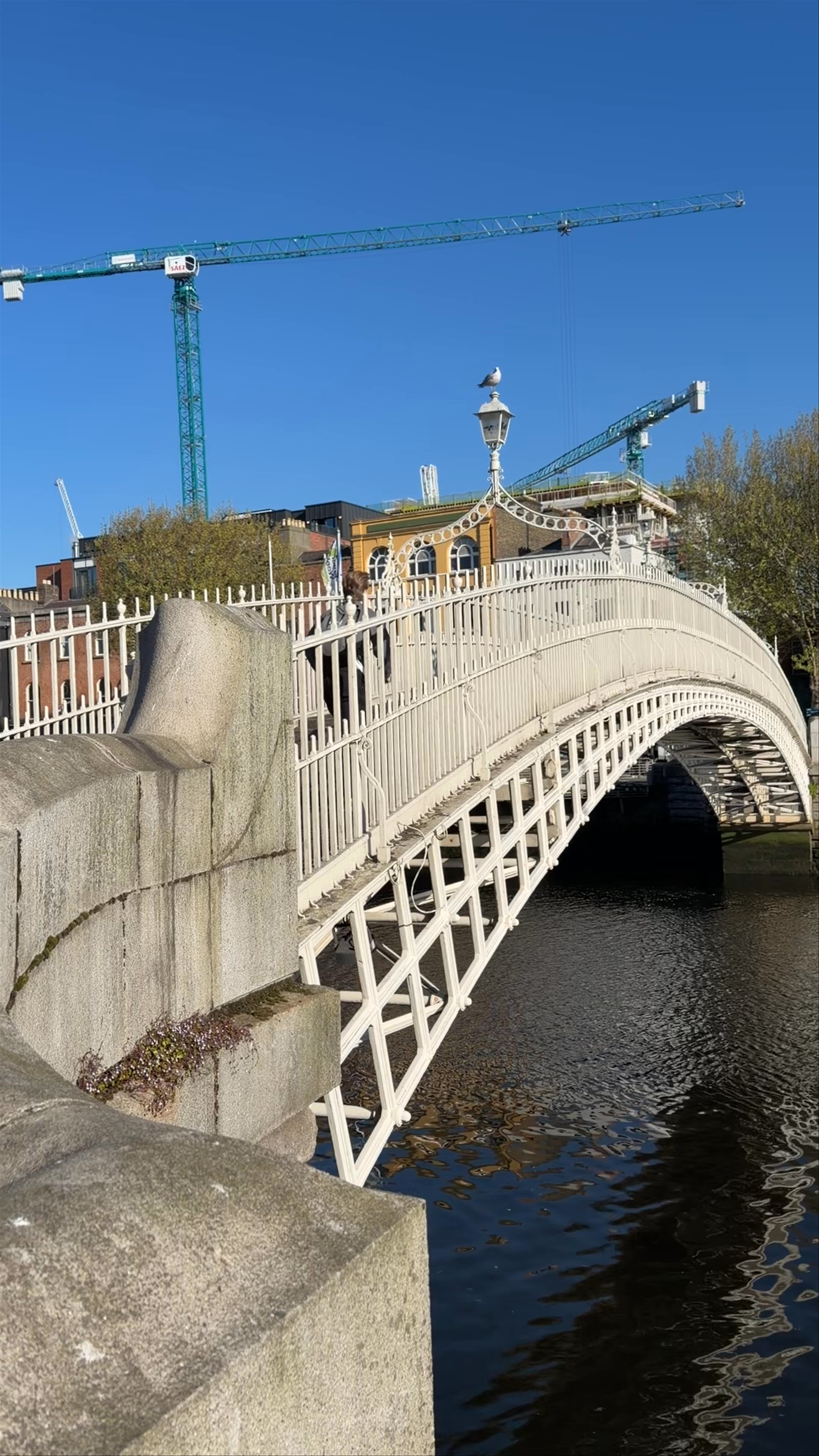 Ha'penny Bridge