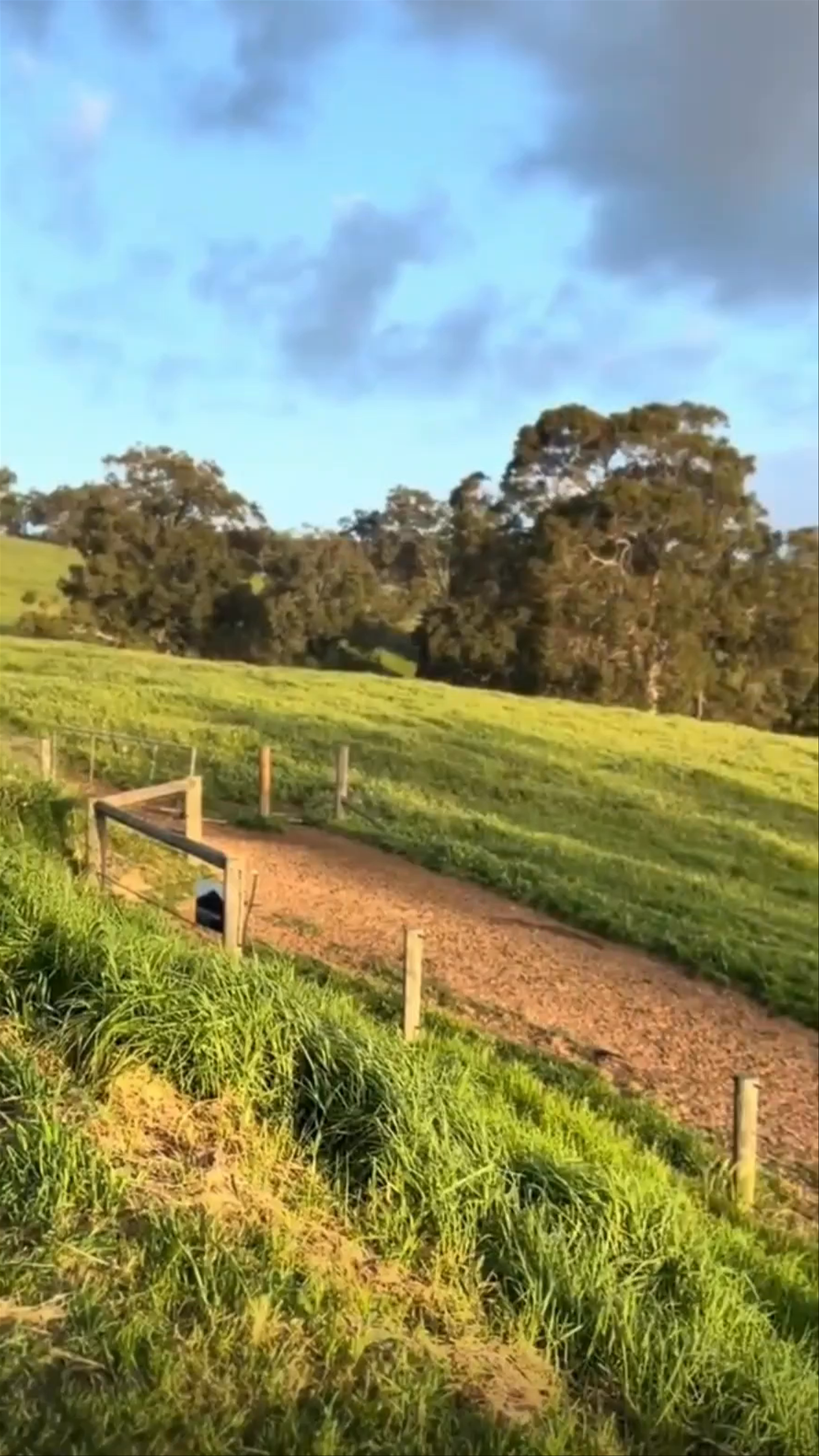 Scenic Views and Sculpture 'Convergence' by Andrew Frazer in Henty, Western Australia