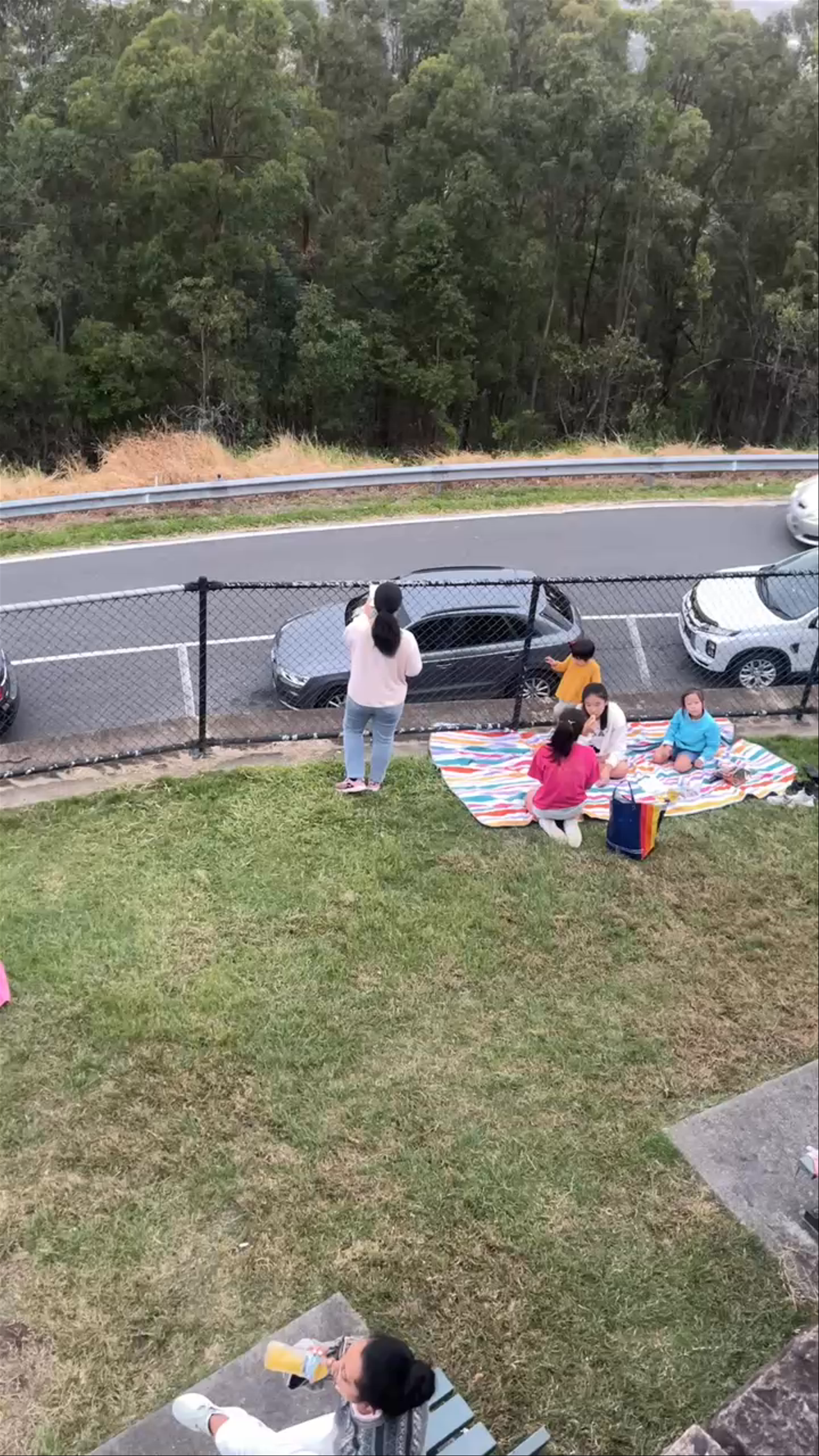 Mount Coot-Tha Summit Lookout: Sunset Picnic with City Views, Queensland