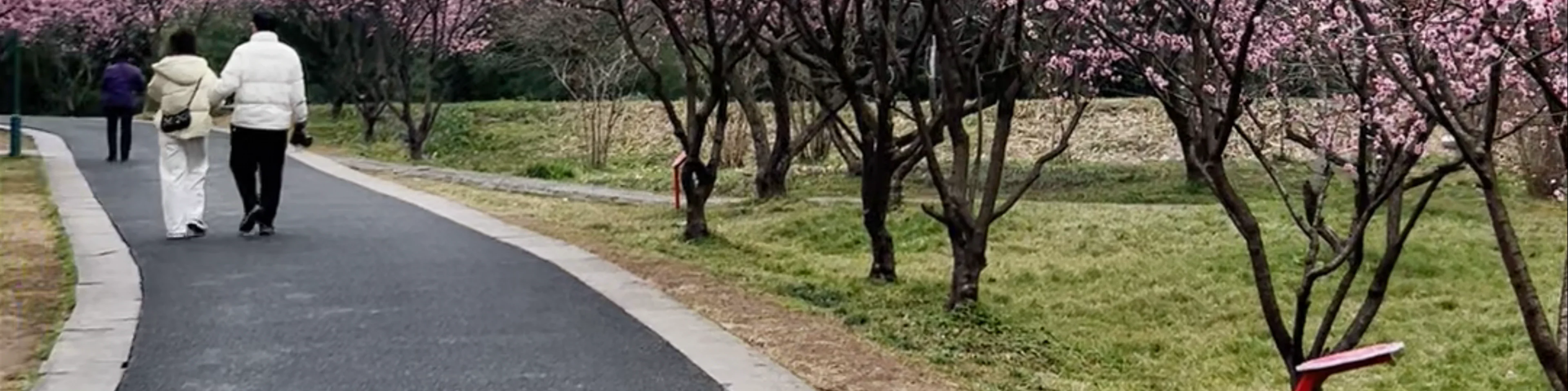 Xixi Plum Garden