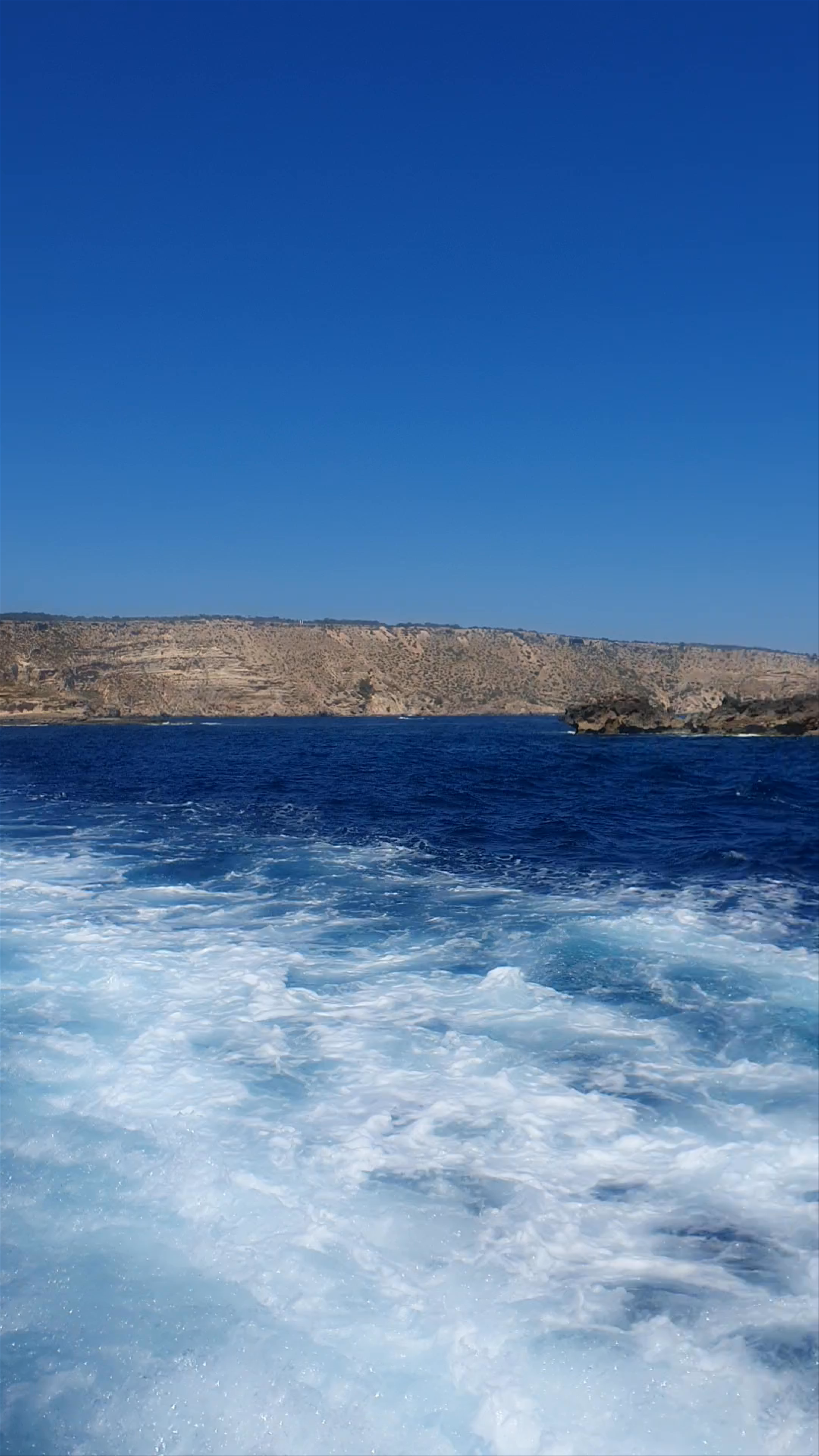 CRUCEROS CORMORAN