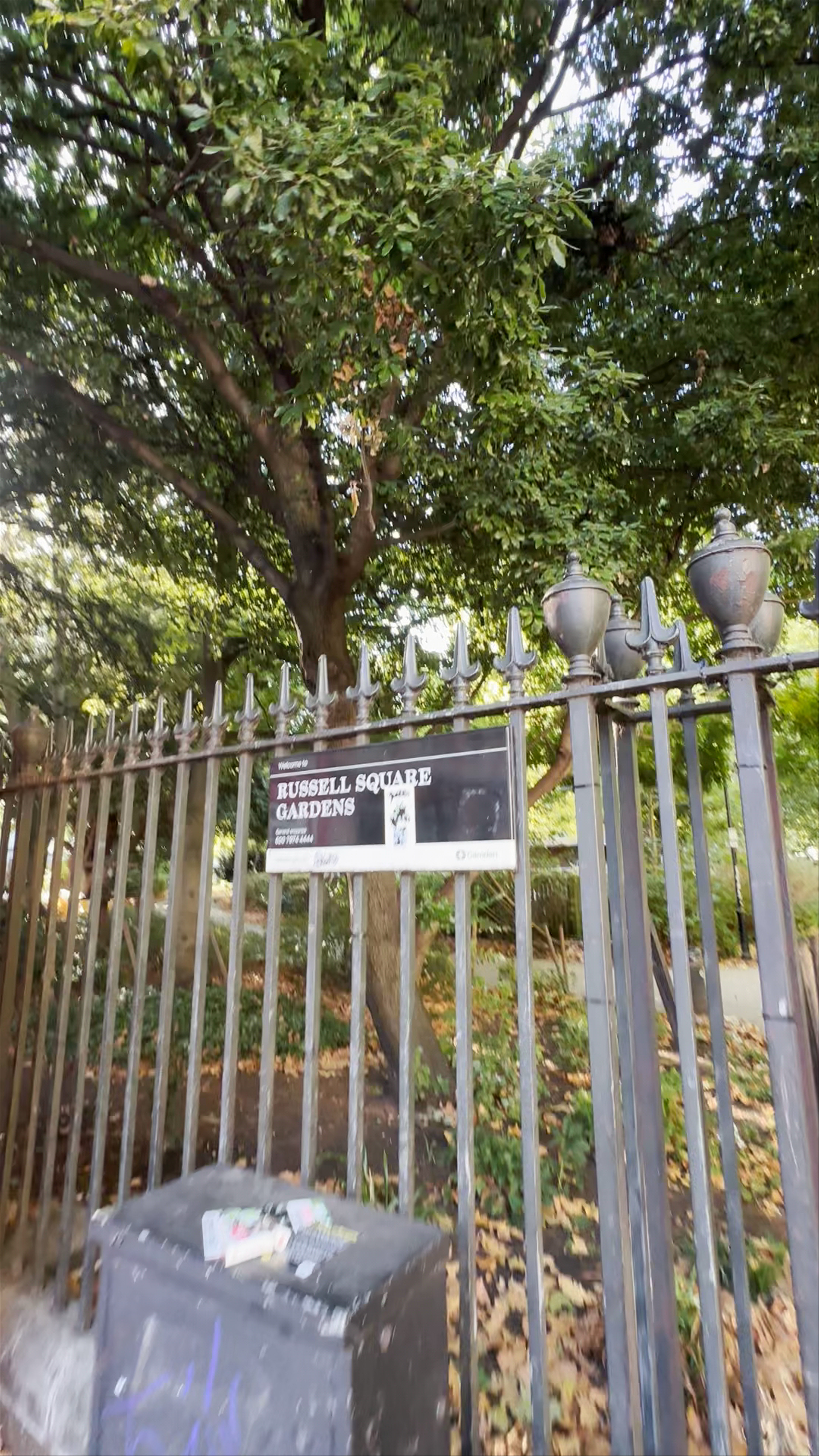 Discover Russell Square: A Serene Oasis in the Heart of London
