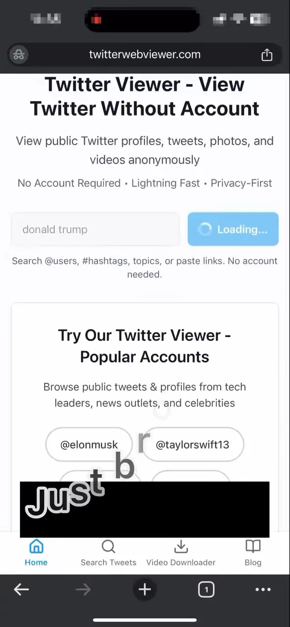 twitterwebviewer image 1