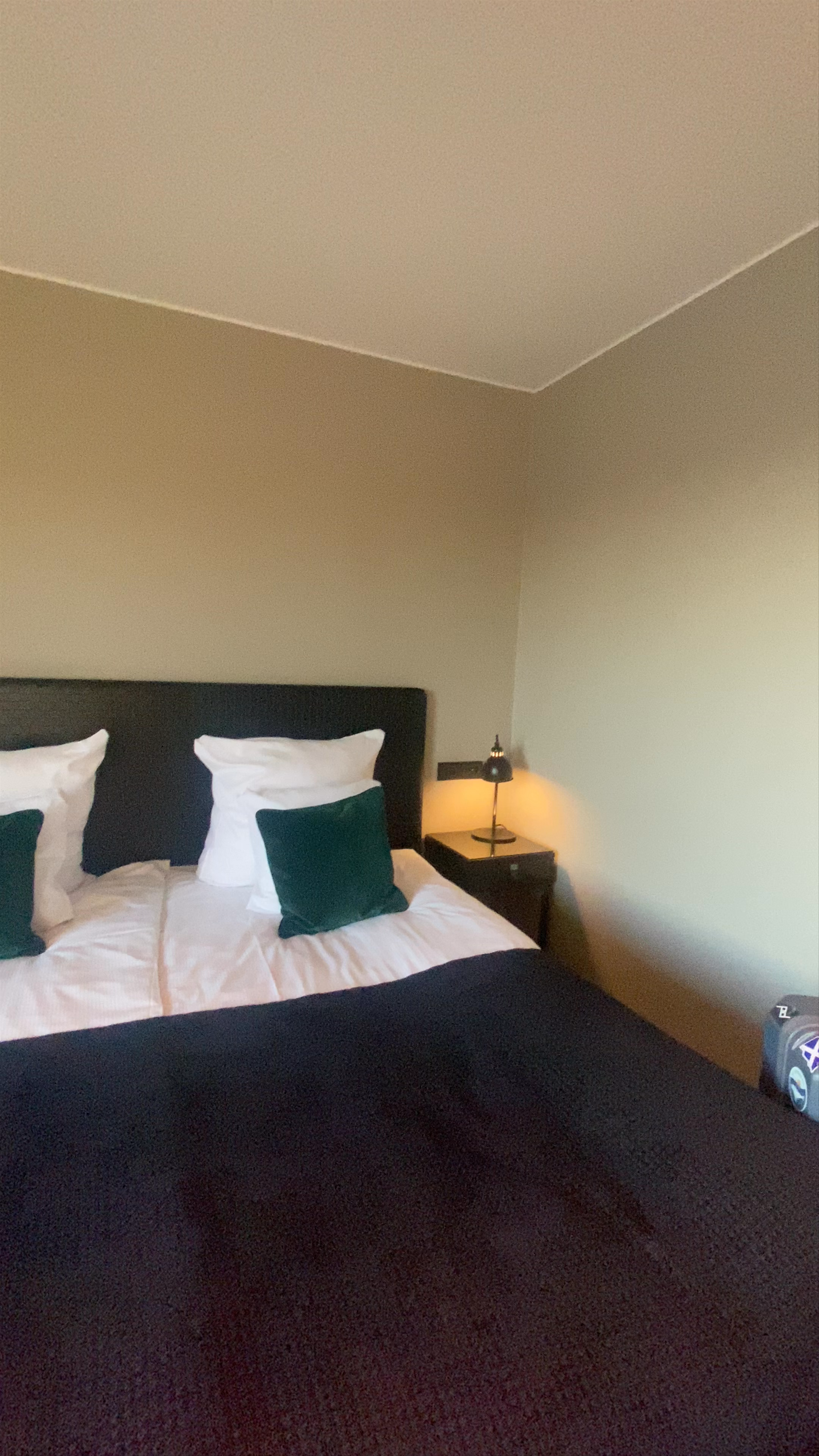 Clarion Hotel Aviapolis