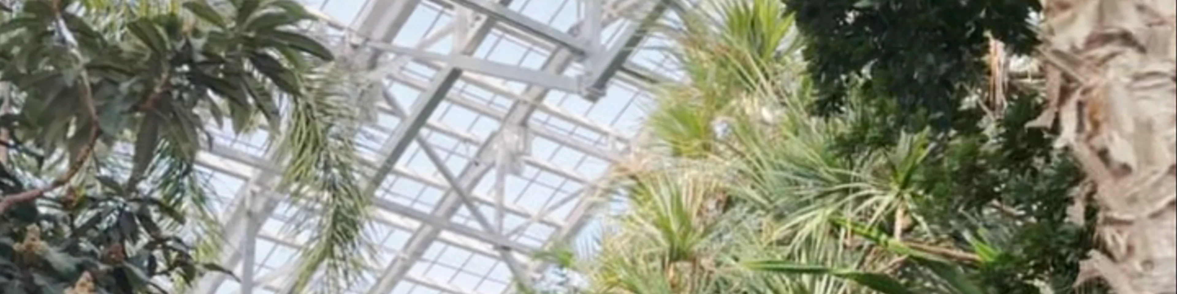 Meijer Gardens
