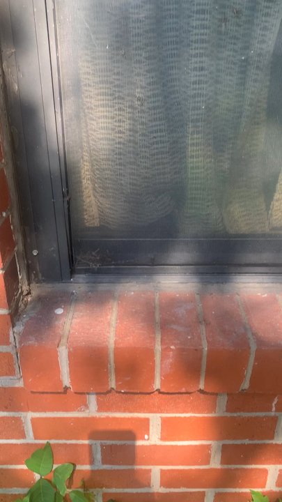 Malibu Window Washing Company - Window washing   Learn , teach pay it forward and make amends accordingly.,.. - Window Washing Near Me