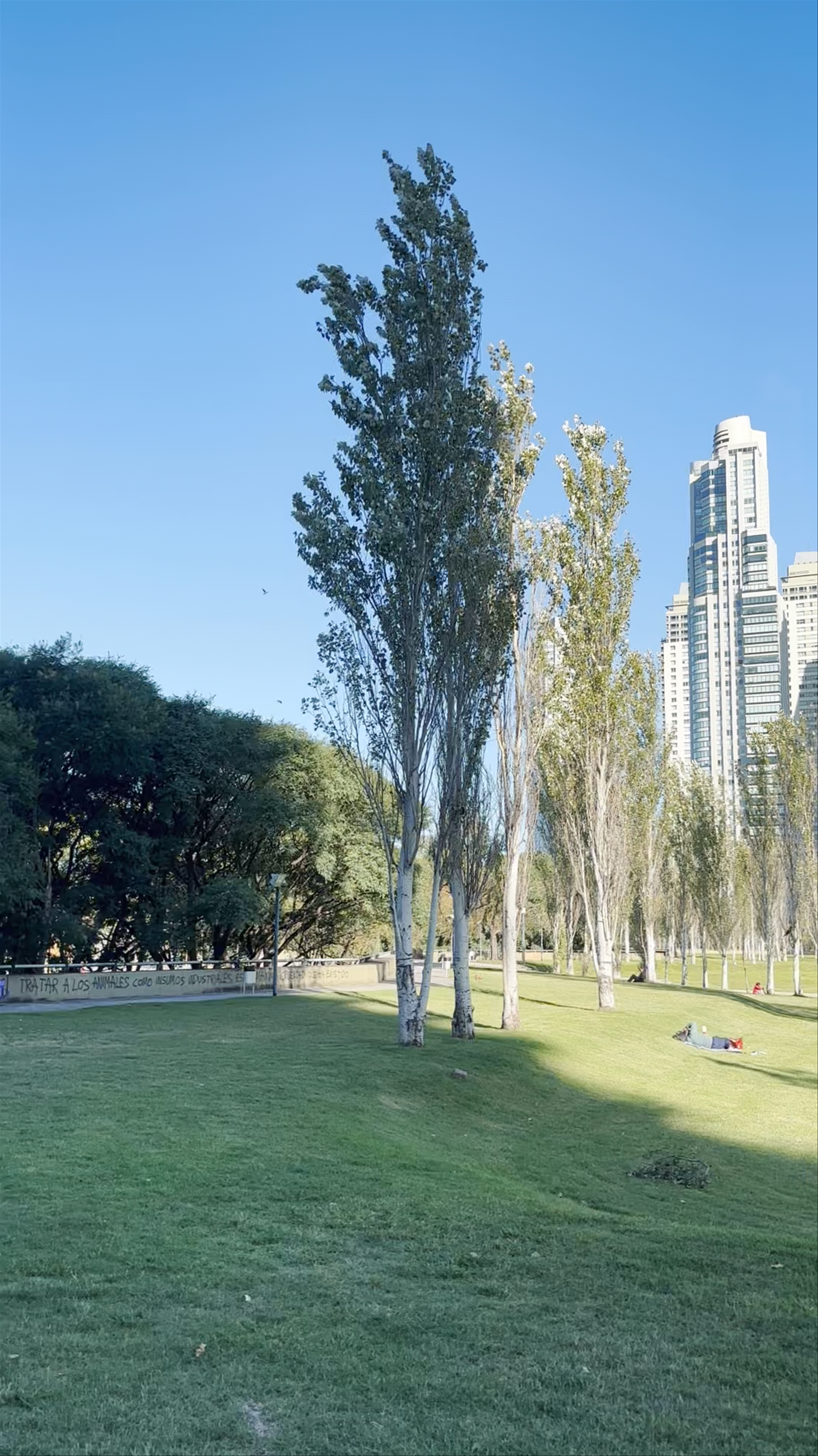 Parque Mujeres Argentinas