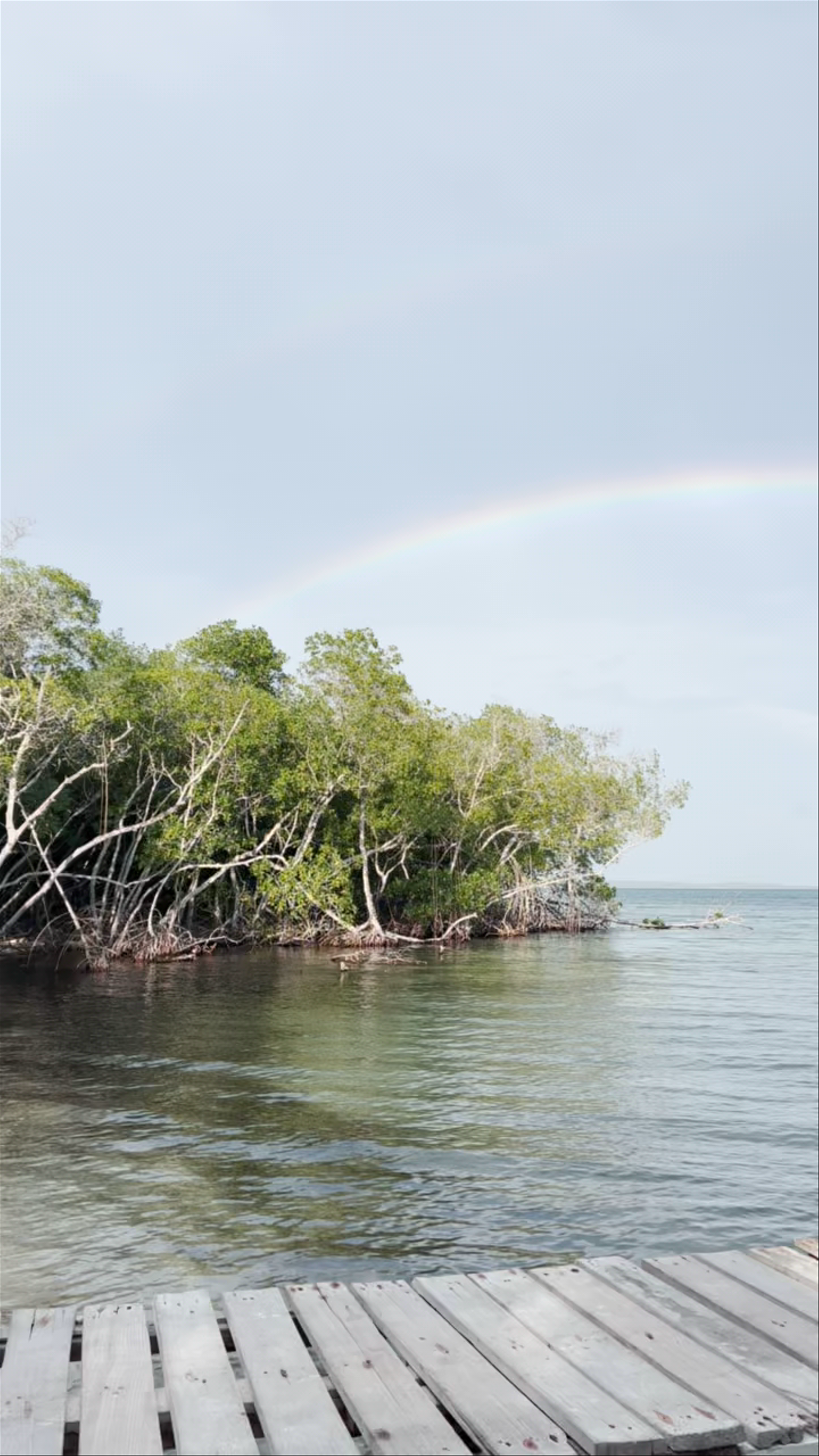 Secreto Islas del Rosario • Barefoot Luxury Hostel