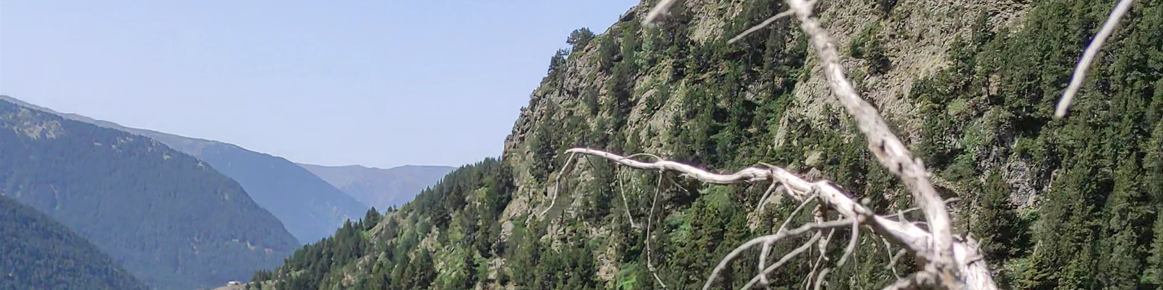 Vall de Montaup