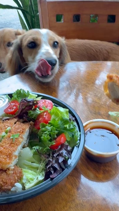 Uncle Bobo's - Barbeque Near Me - Kaaawa, Hawaii