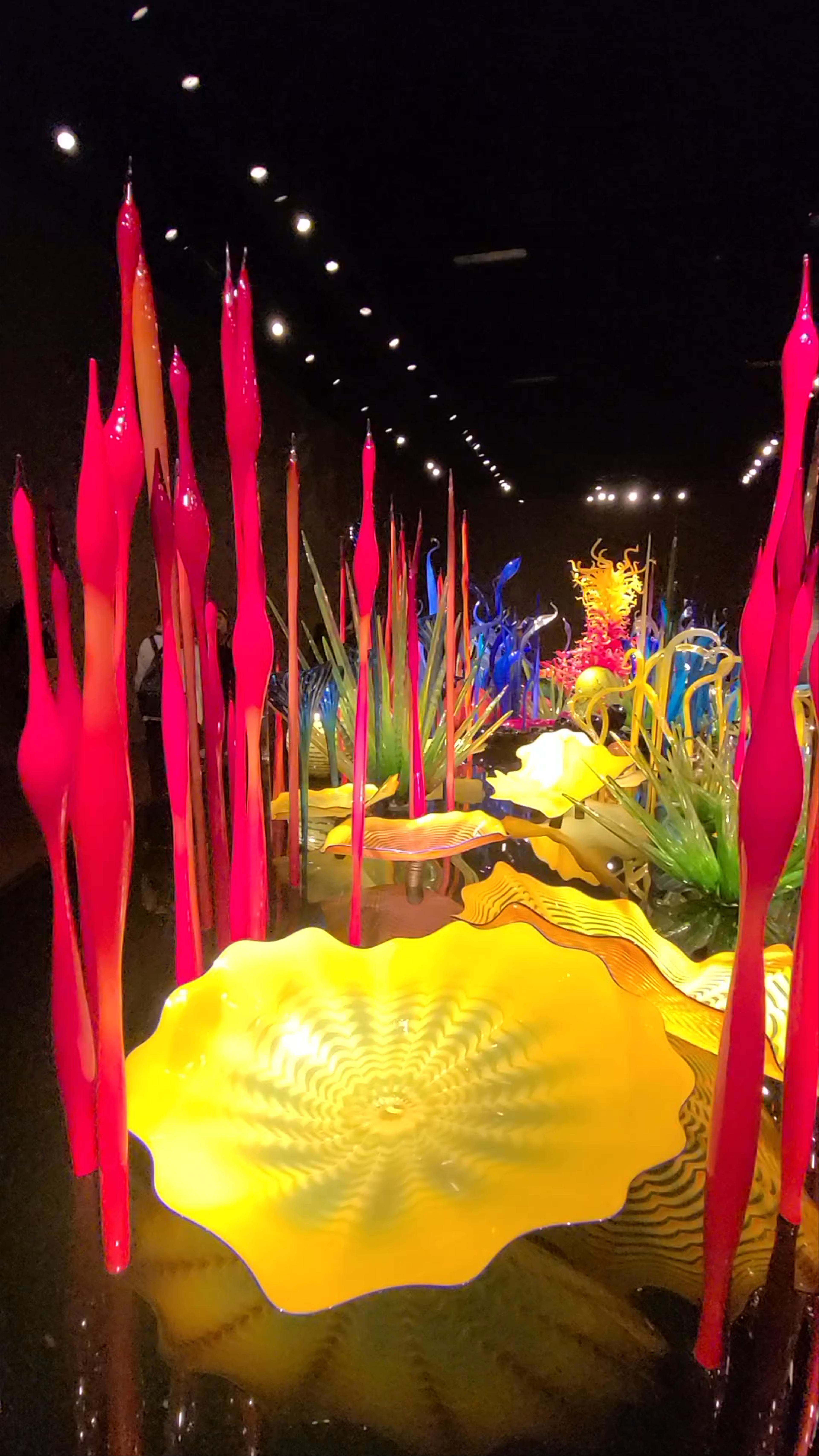 Chihuly Garden and Glass