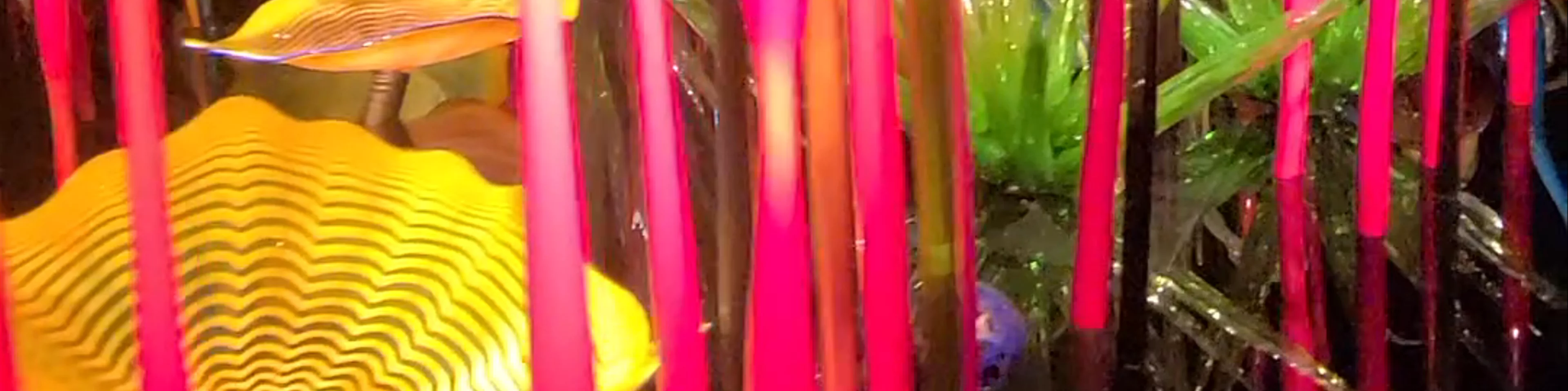 Chihuly Garden and Glass