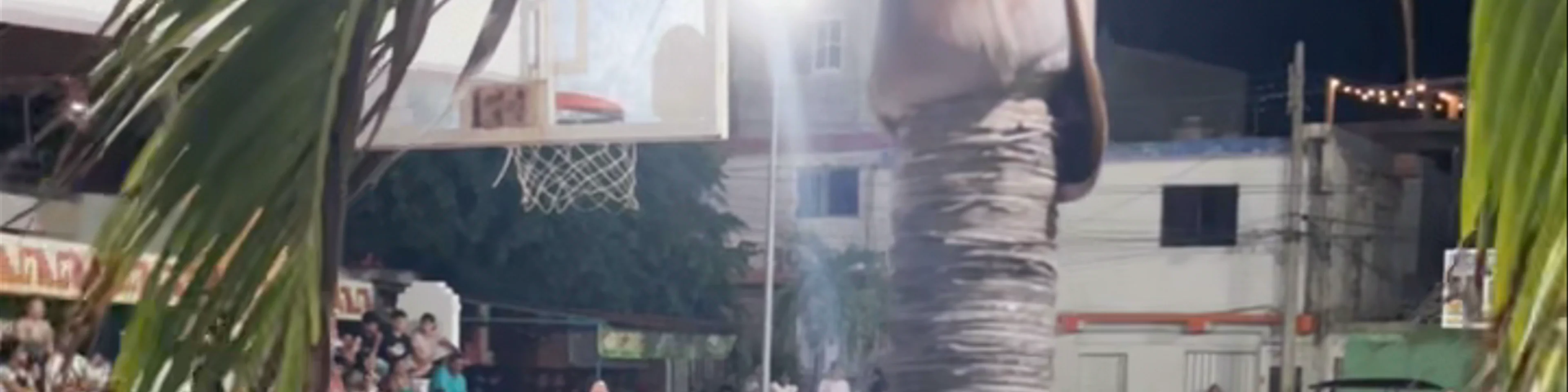 Cancha de baloncesto