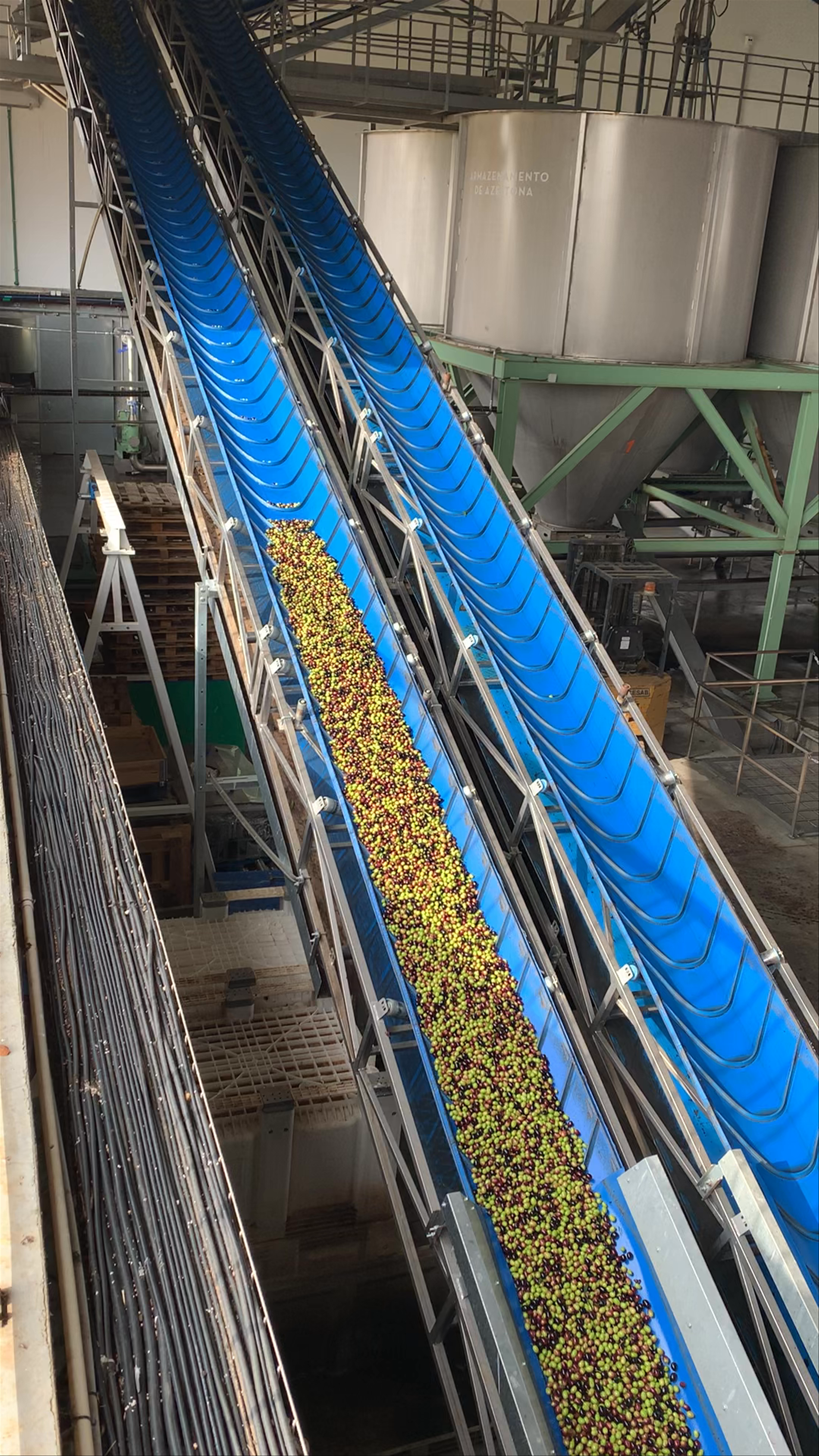 Olive Oil Mill - Herdade do Esporão