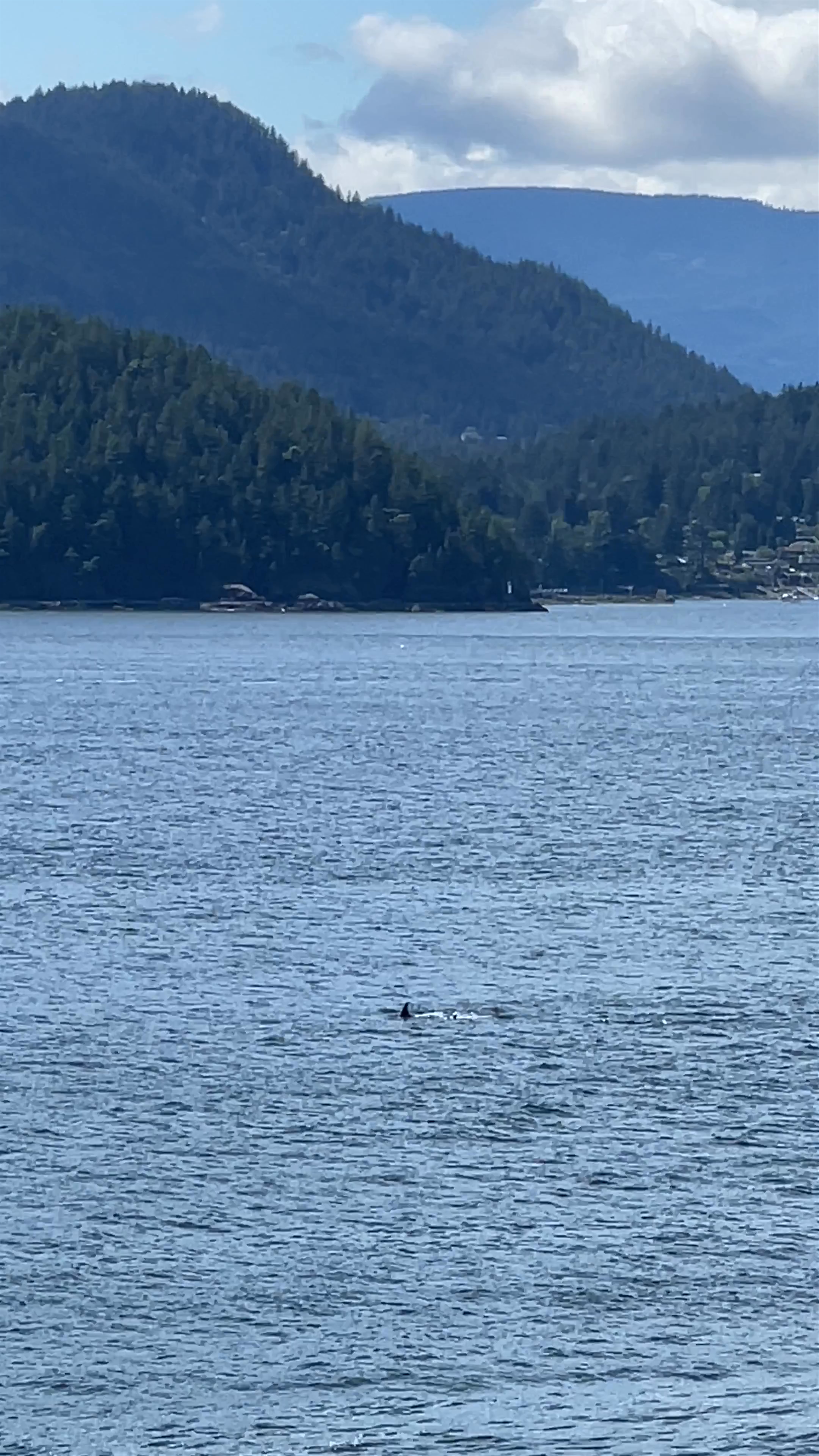 Whytecliff Park | West Vancouver