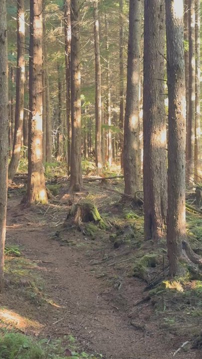 Reade Hill Trailhead - Hiking Near Me