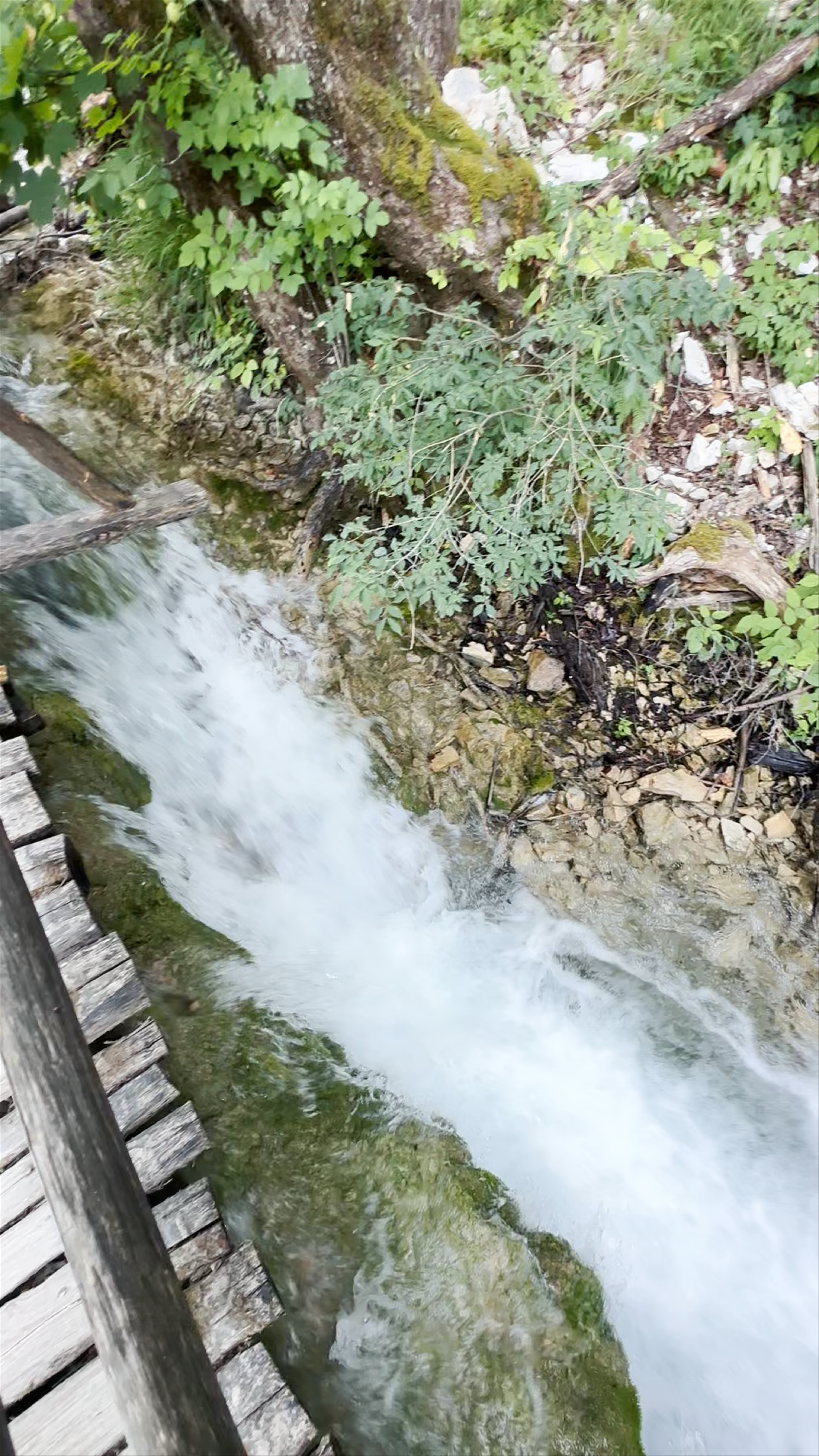 Plitvicer Naturreservat