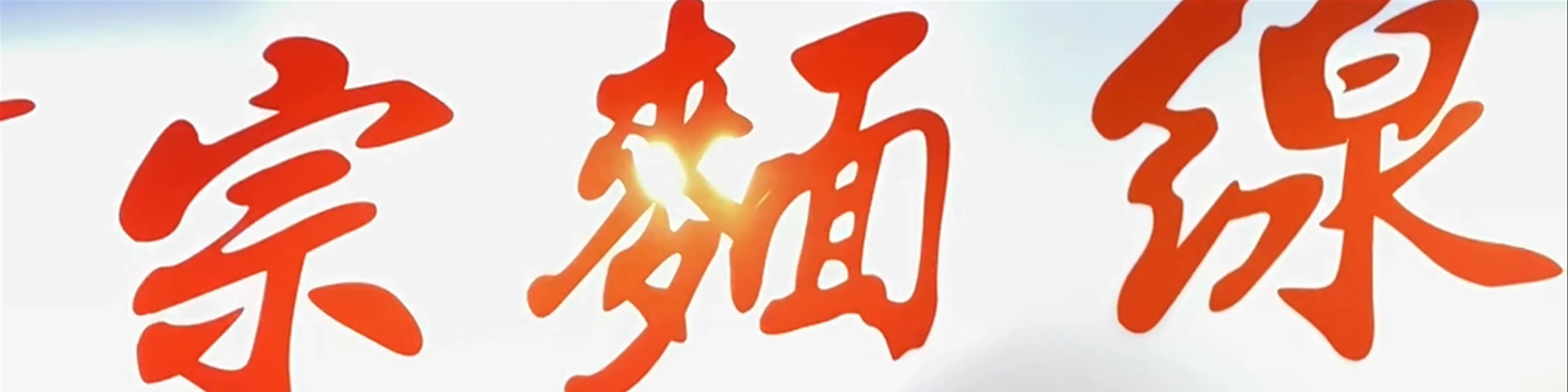 Ay-Chung Flour-Rice Noodle