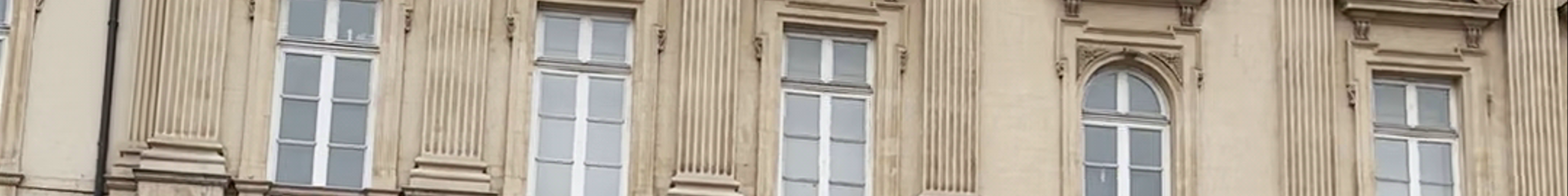 Tours & experiences in Lyon 01