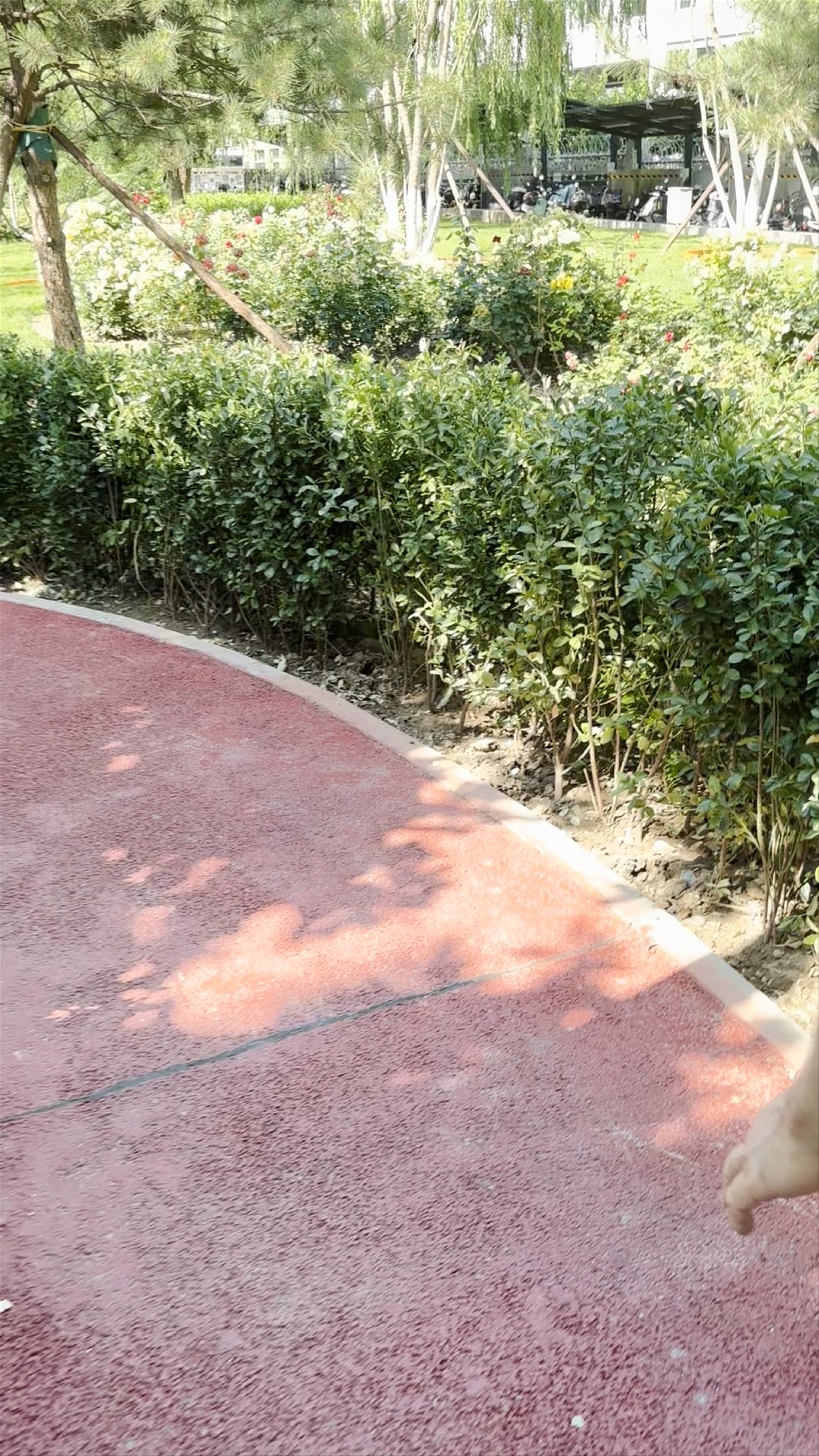 16 Chaoyangmen S Ave