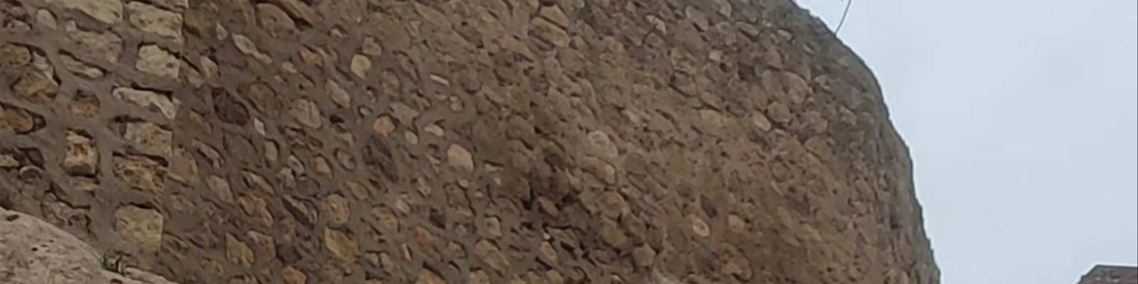 Muralla urbana de Aledo