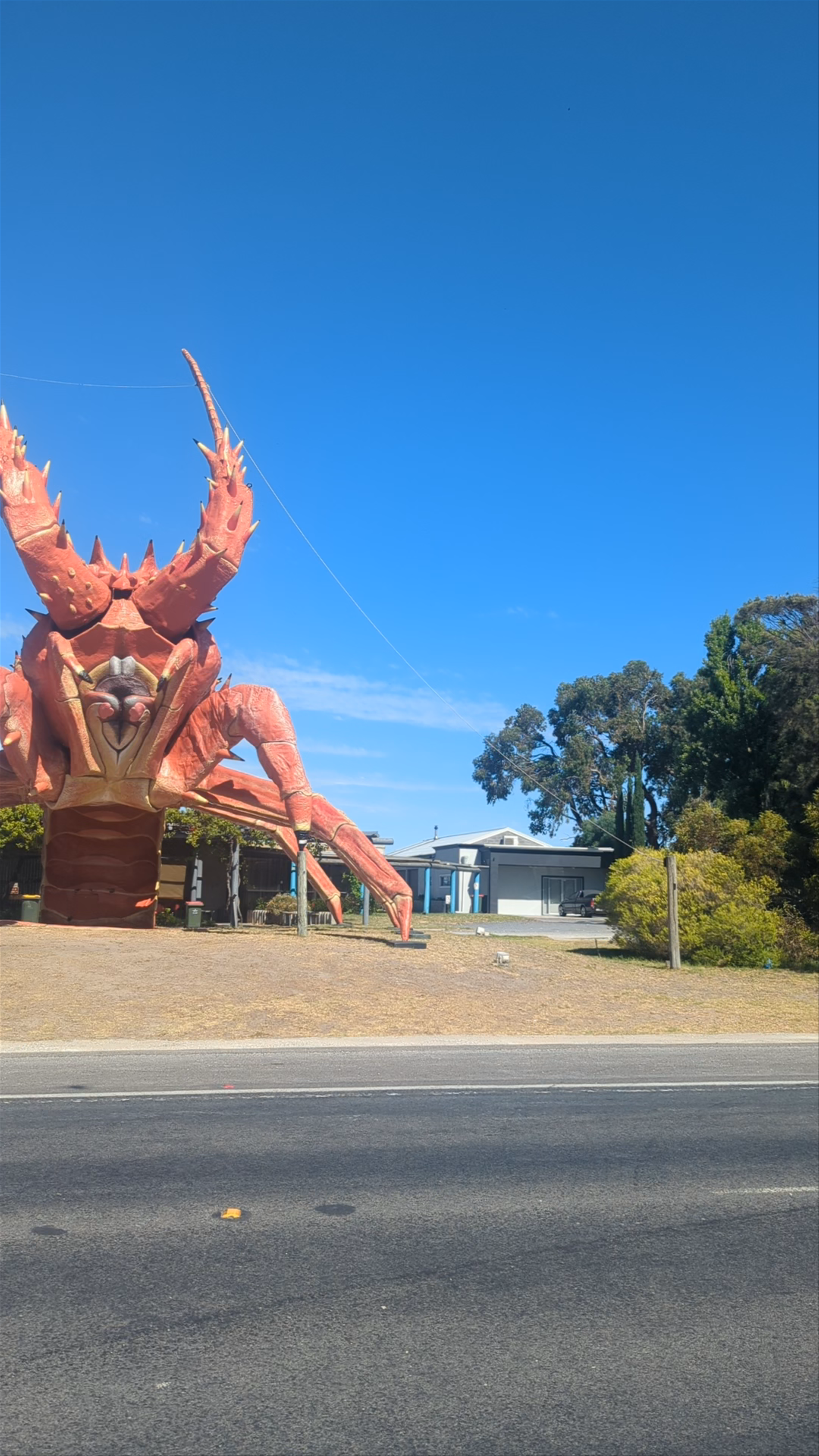 The Big Lobster