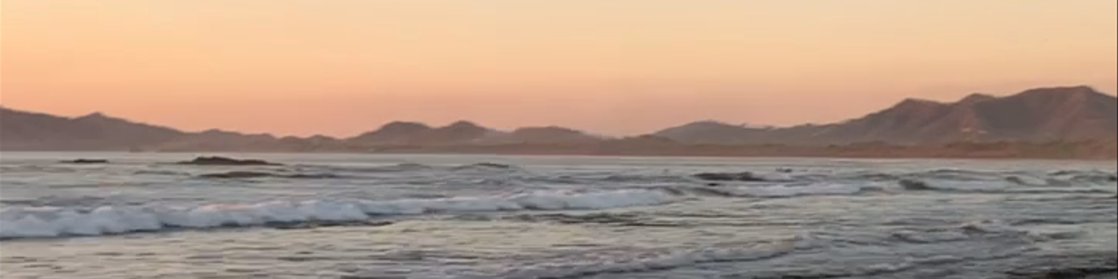 Tamarindo