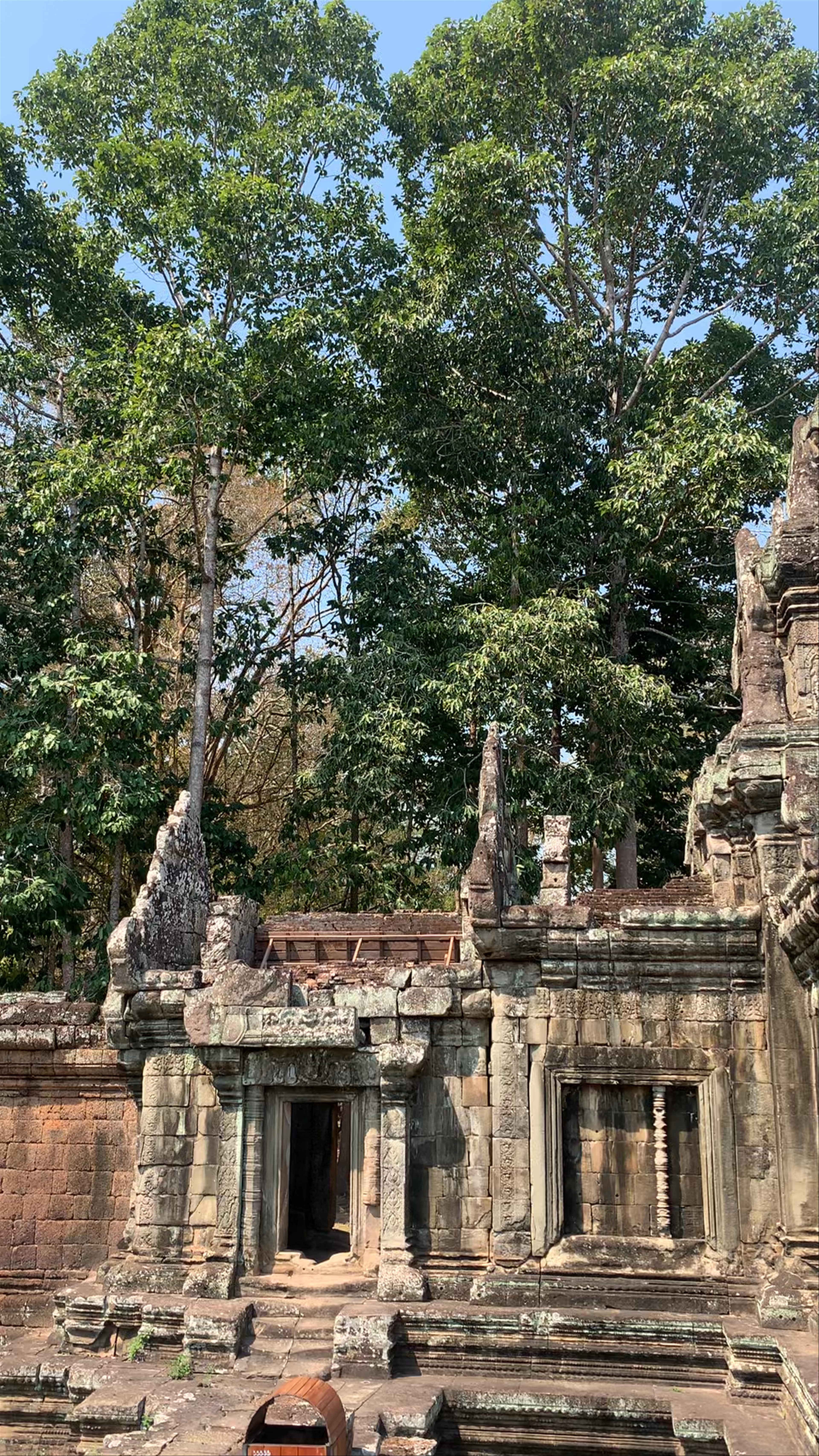 Terrace of the Elephants