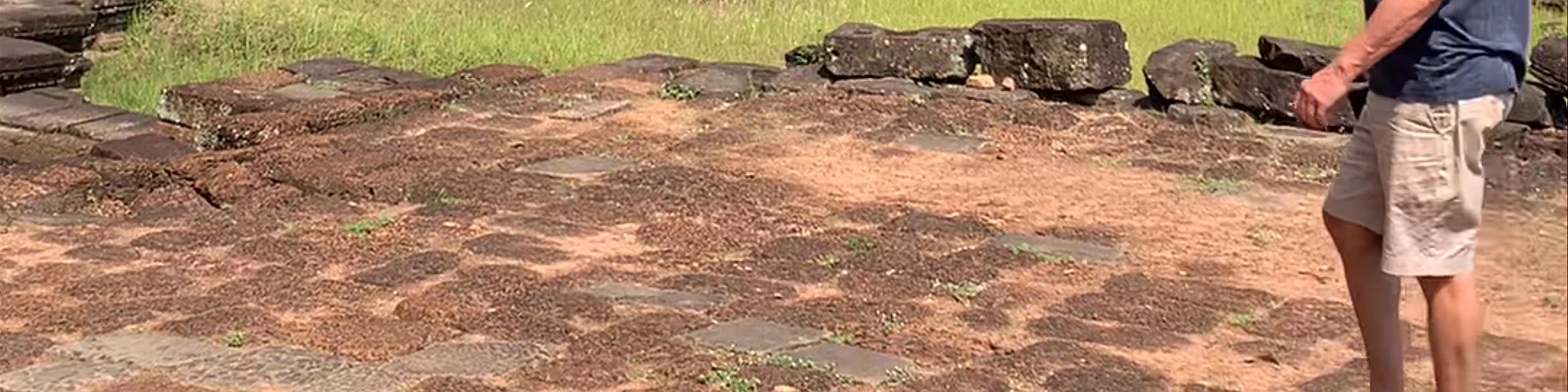Terrace of the Elephants