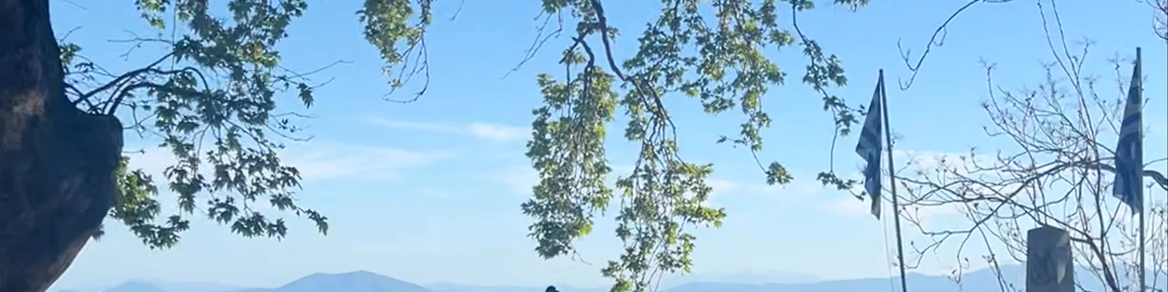 Το Κεντρικόν