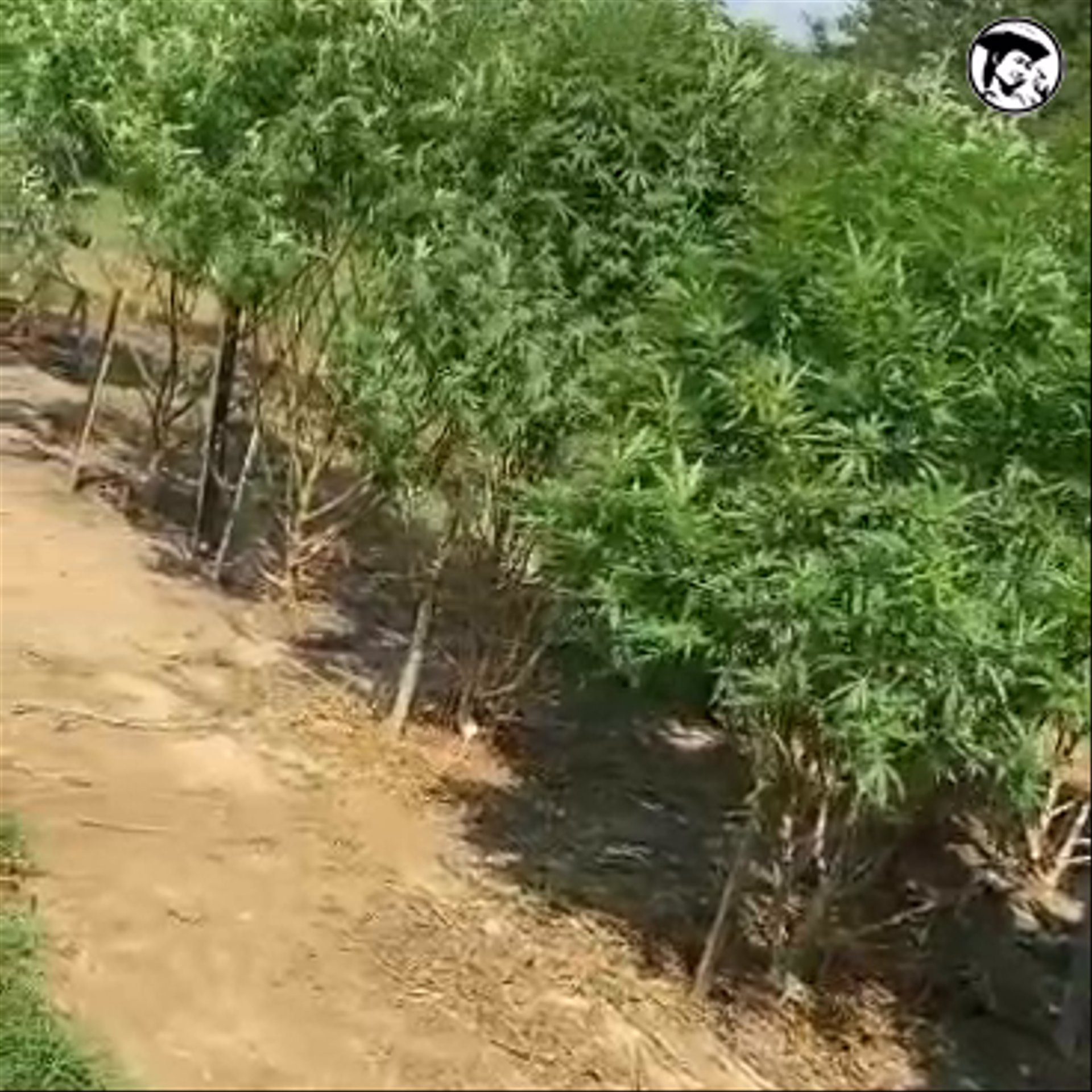 VID-20261005-WA0062