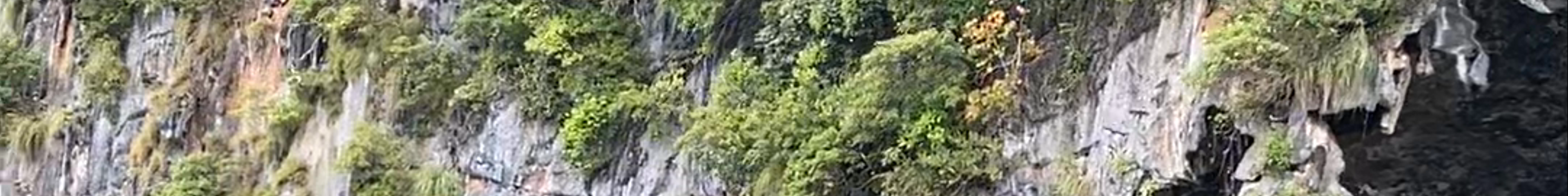 Tours & experiences in Krabi